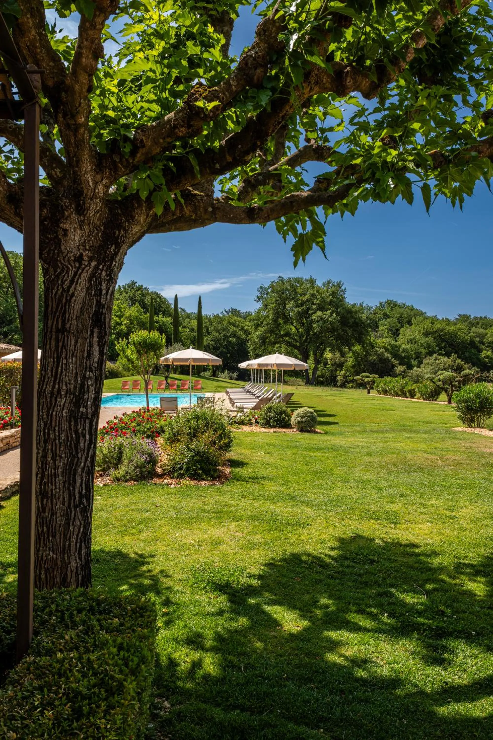 Garden in Mas De La Senancole & Spa