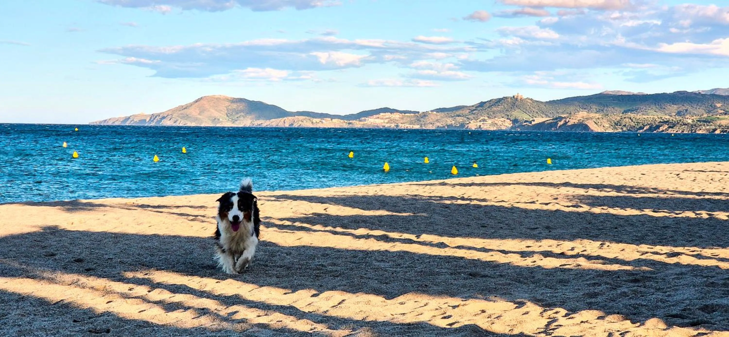 Beach in Hôtel Le Maritime
