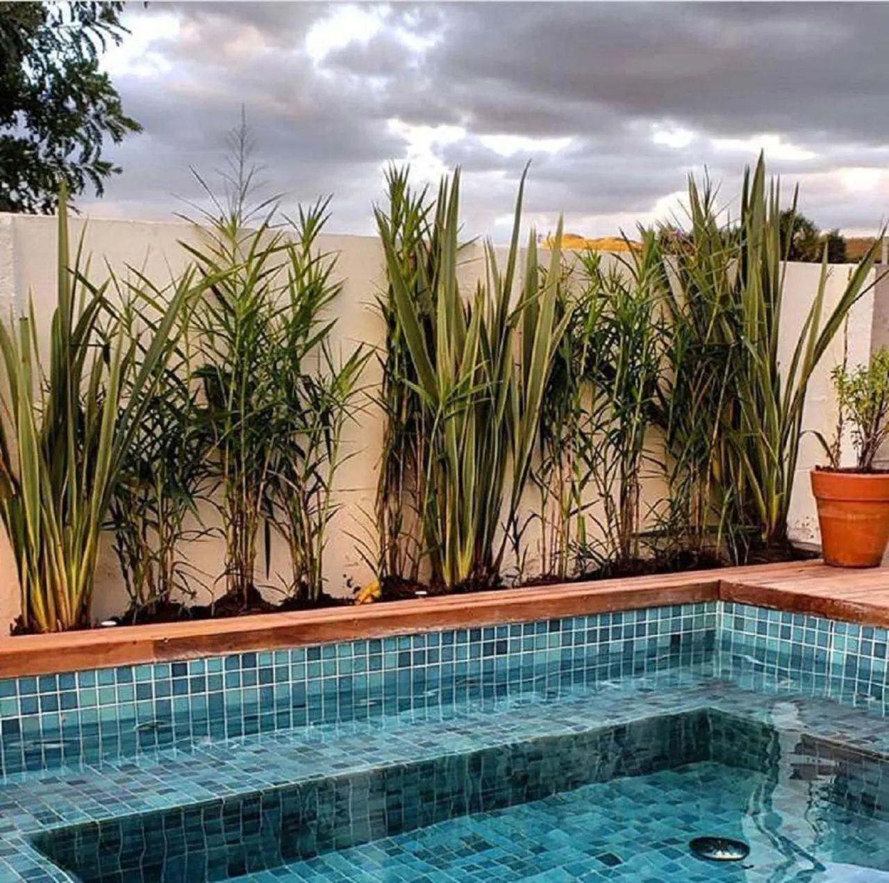 Vila Gaia Guest House