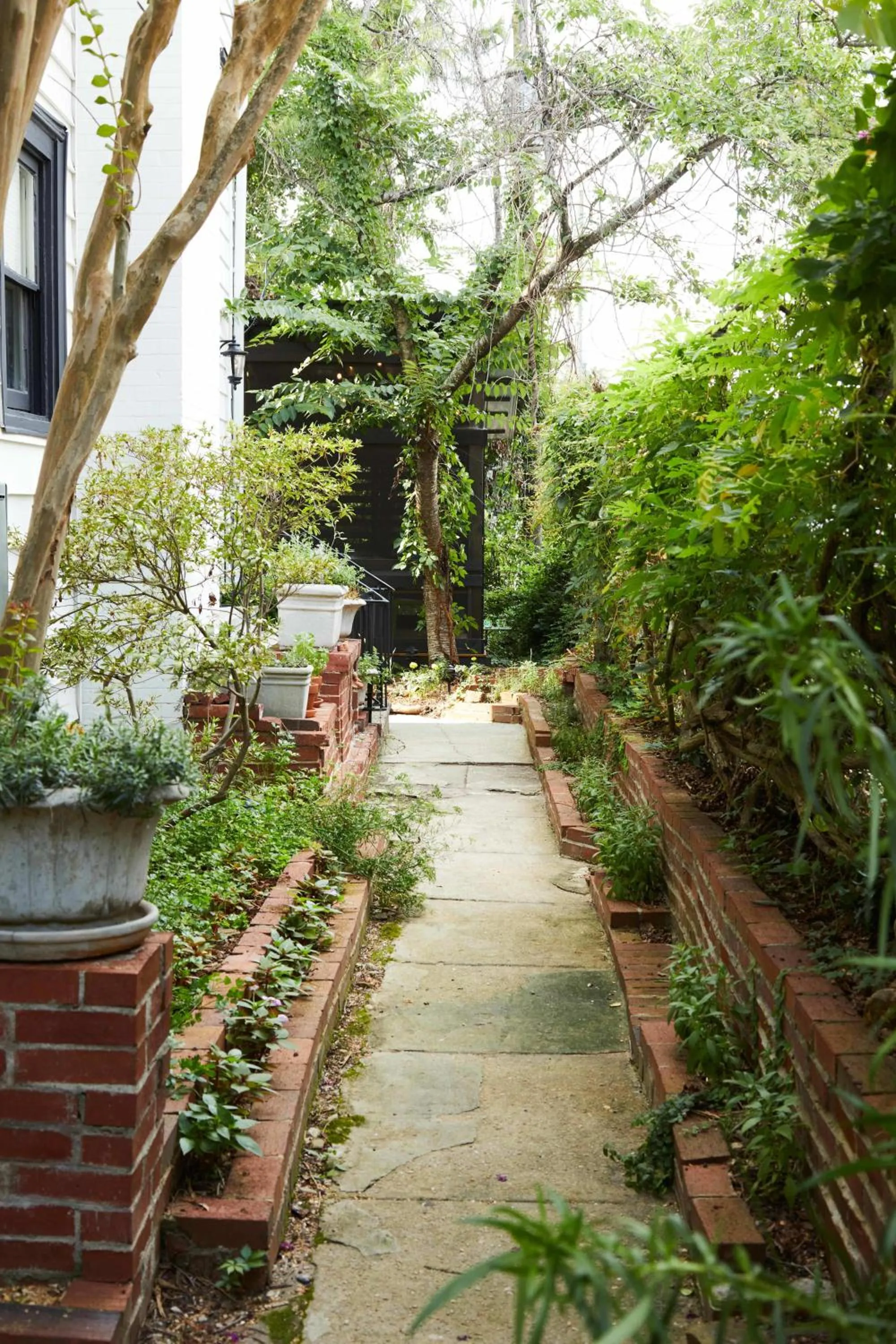 Eden Brae: Historic Southern Gothic Mansion