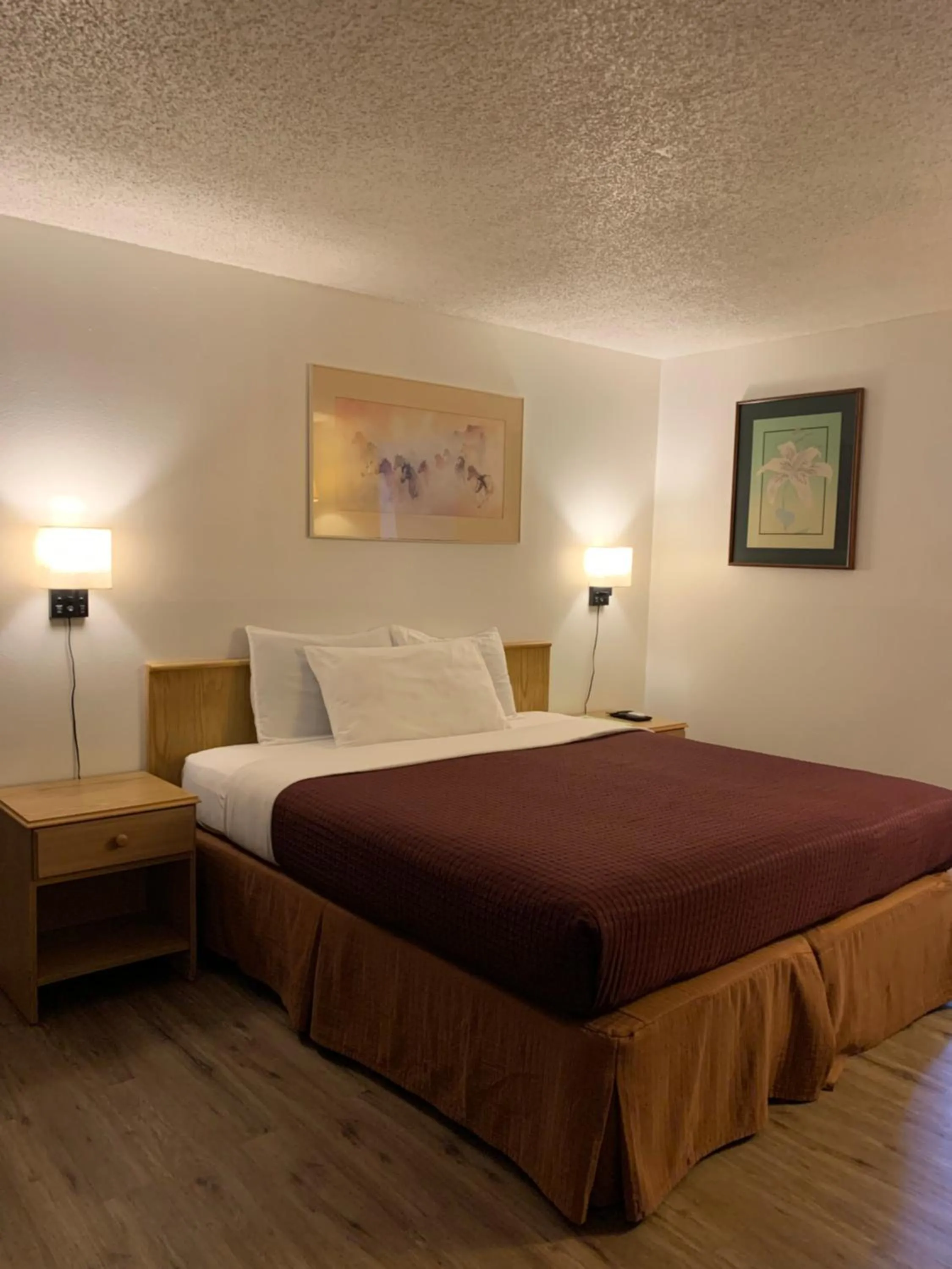 Bed in Motel 8 Willcox