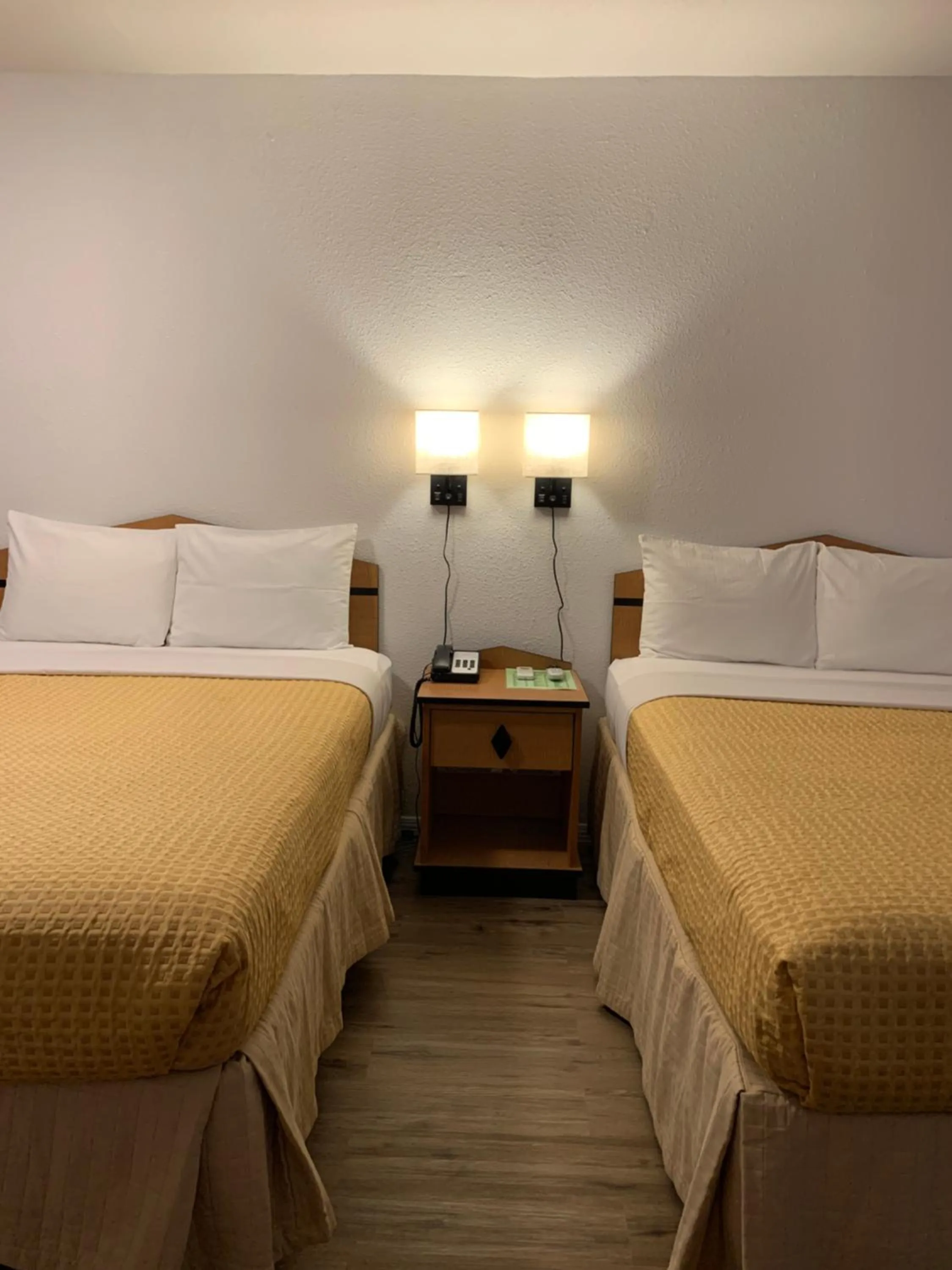 Bed in Motel 8 Willcox