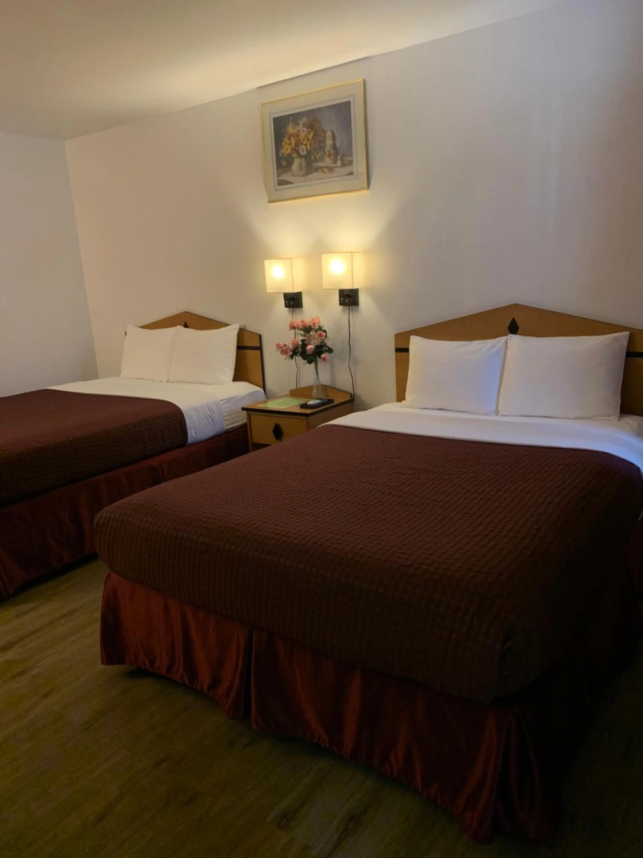 Bed in Motel 8 Willcox