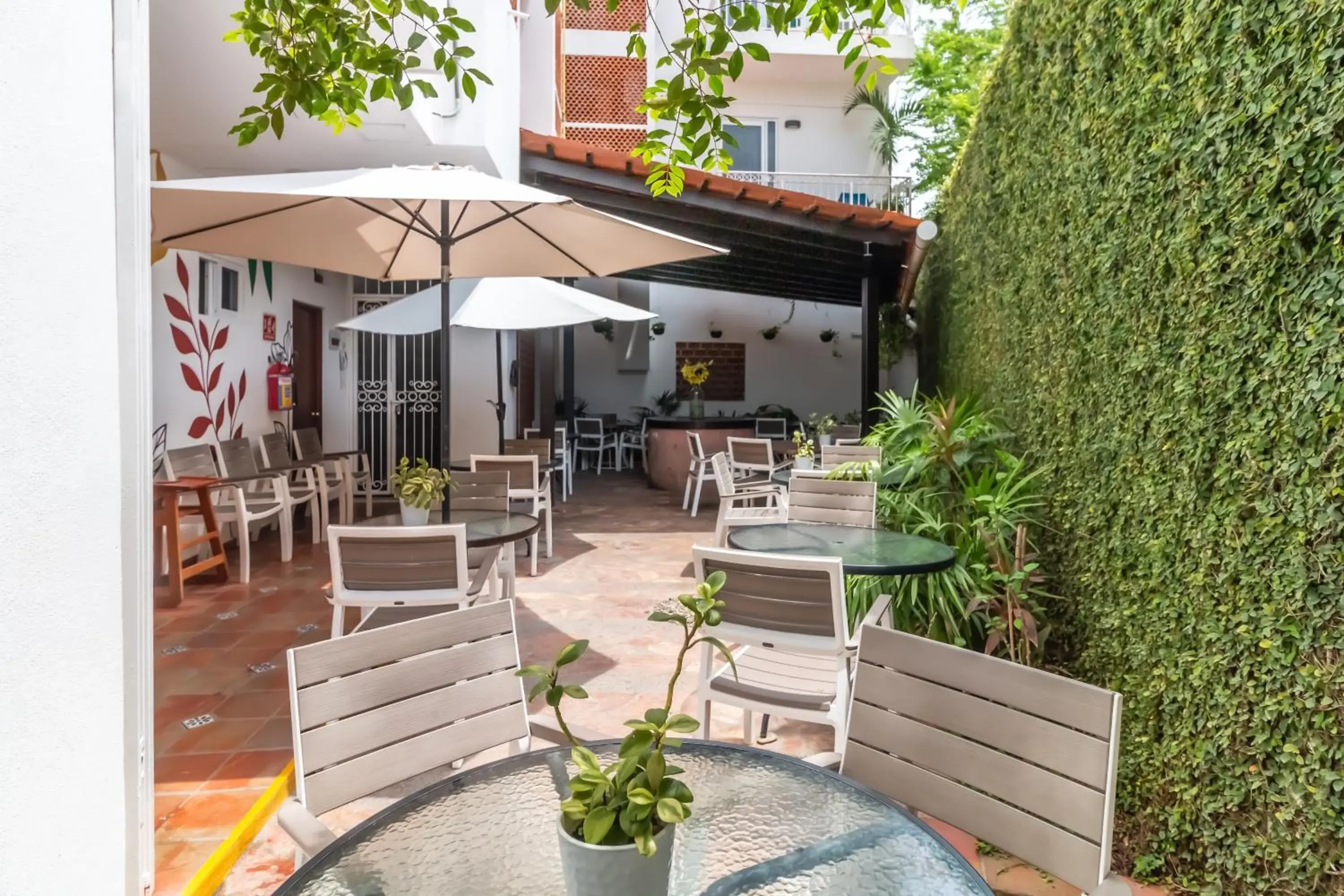 Garden in The Paramar Beachfront Boutique Hotel With Breakfast Included - Downtown Malecon Garden in The Paramar Beachfront Boutique Hotel With Breakfast Included - Downtown Malecon