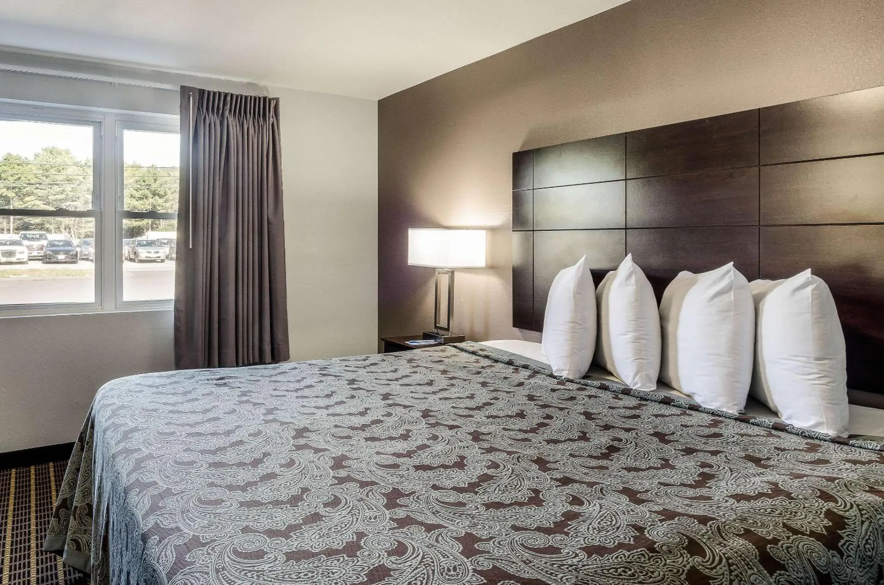 Photo of the whole room, Bed in Rodeway Inn Middleboro-Plymouth Photo of the whole room, Bed in Rodeway Inn Middleboro-Plymouth