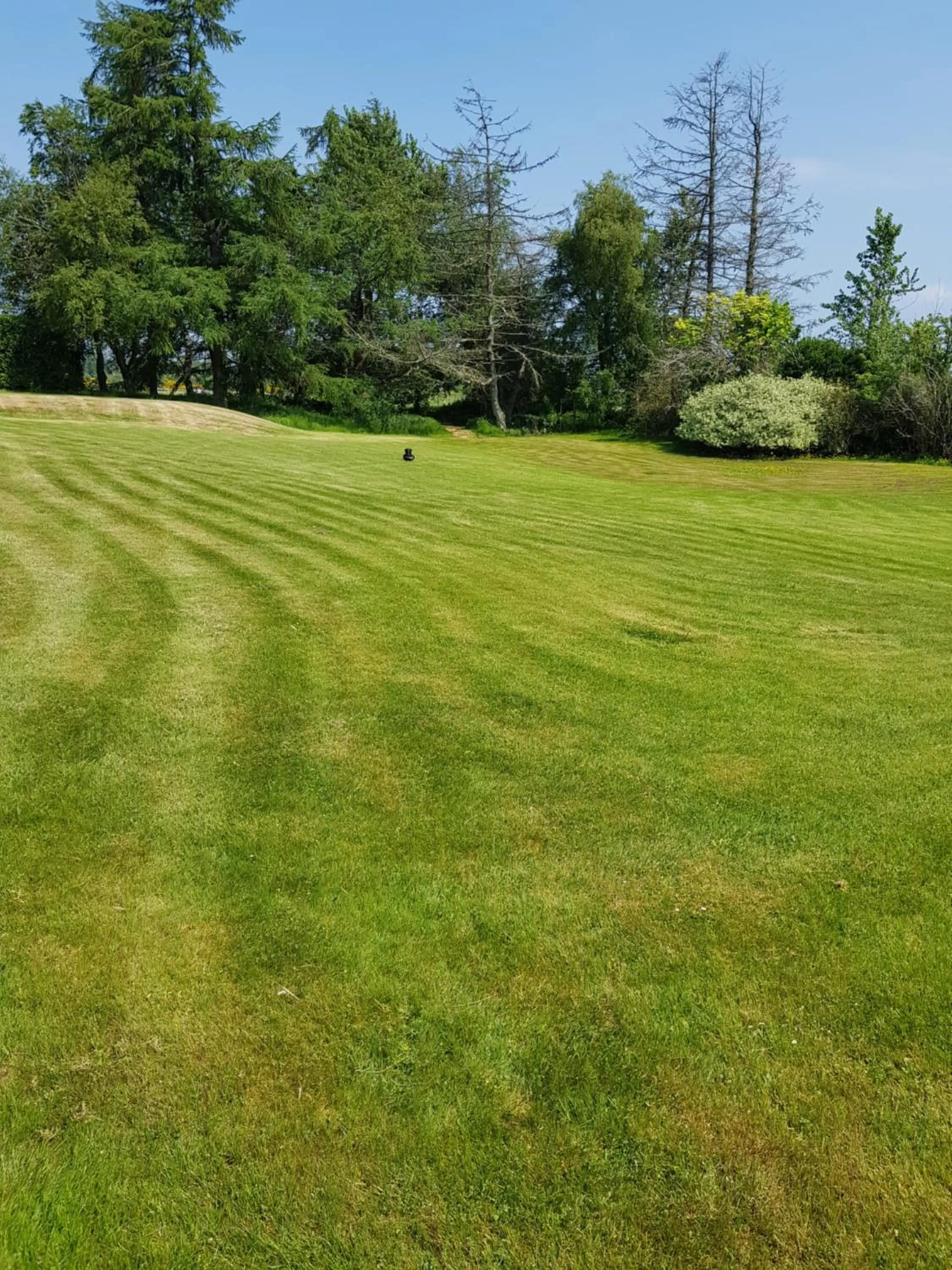 Garden in Delny Muir House
