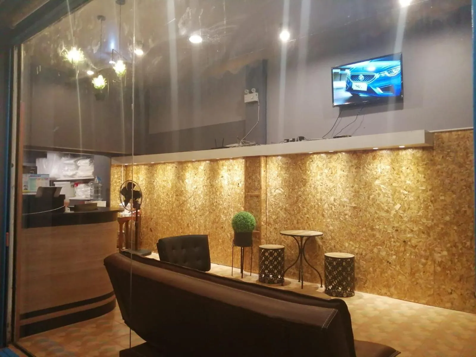 Communal lounge/ TV room in SleepCatsHostel