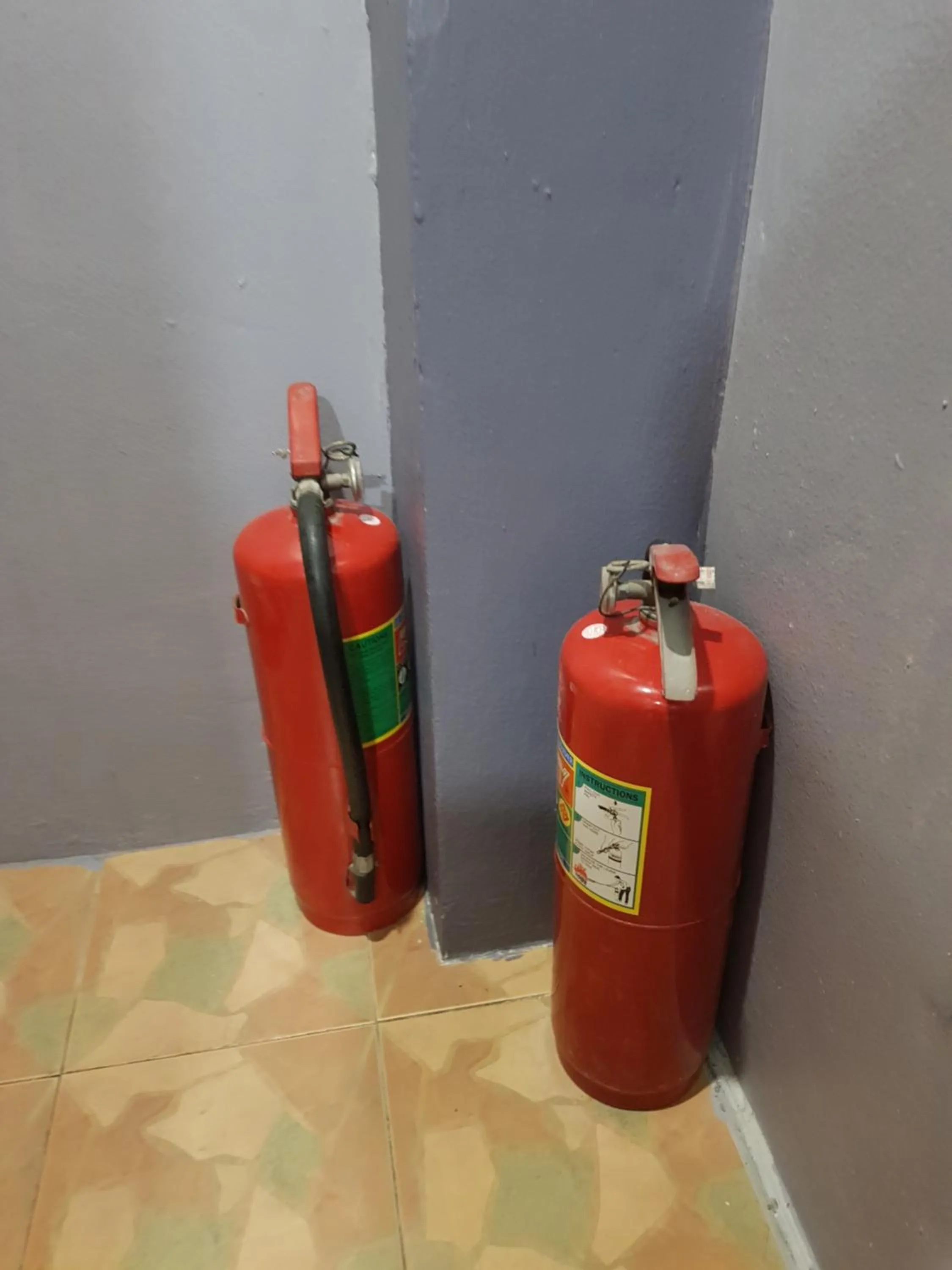 Other in SleepCatsHostel