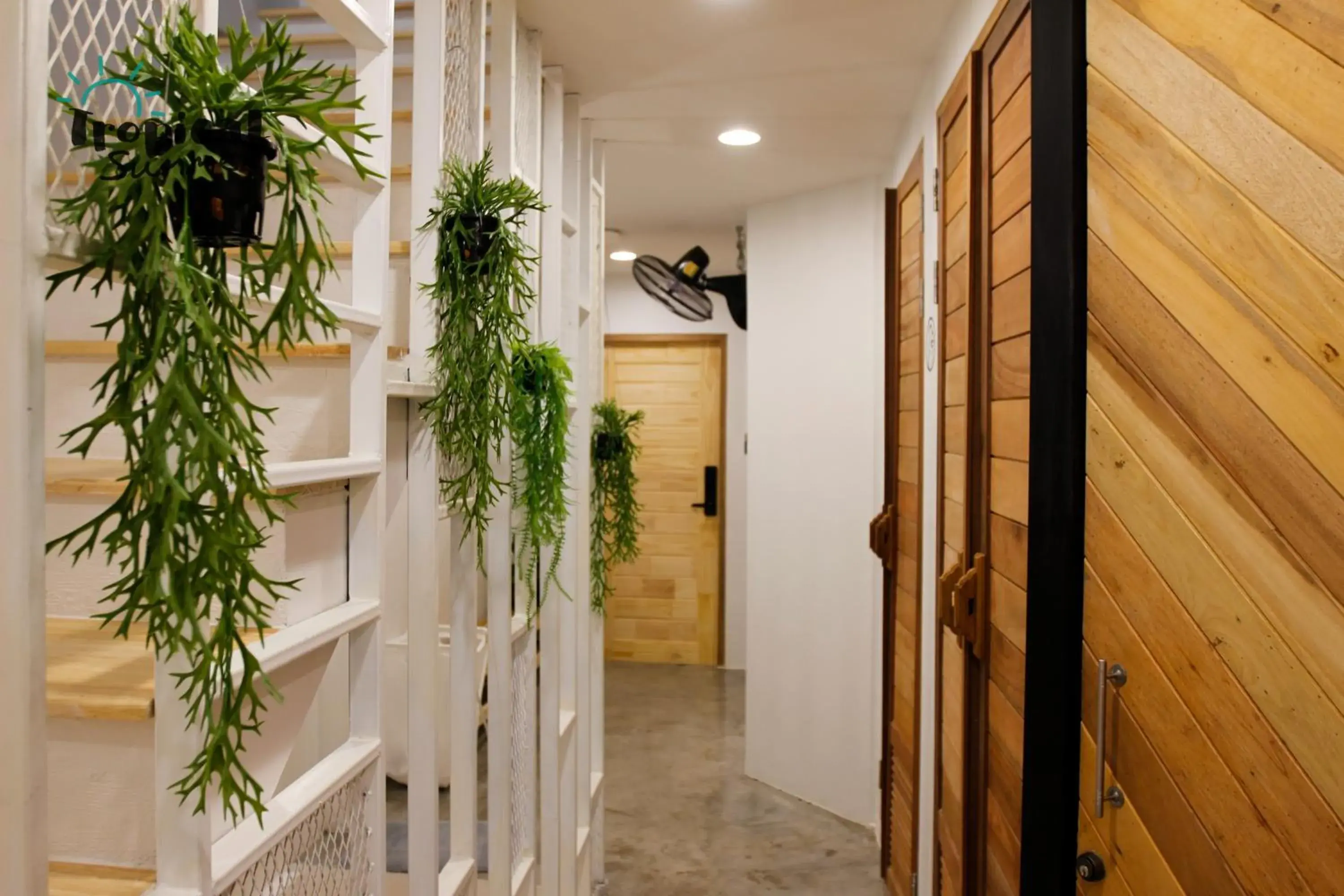 Property building in Tropical Summer Hostel Property building in Tropical Summer Hostel