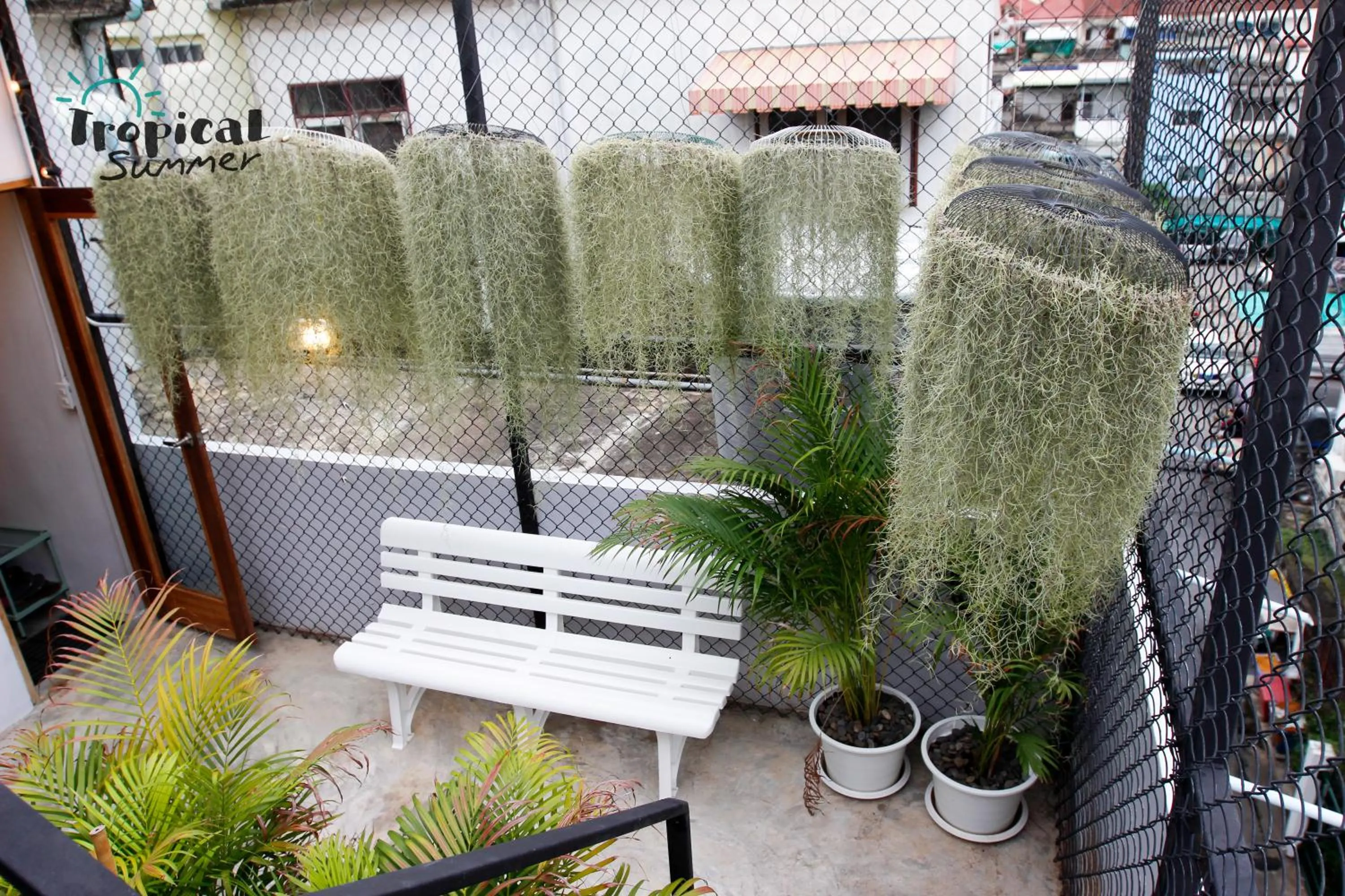 Garden in Tropical Summer Hostel