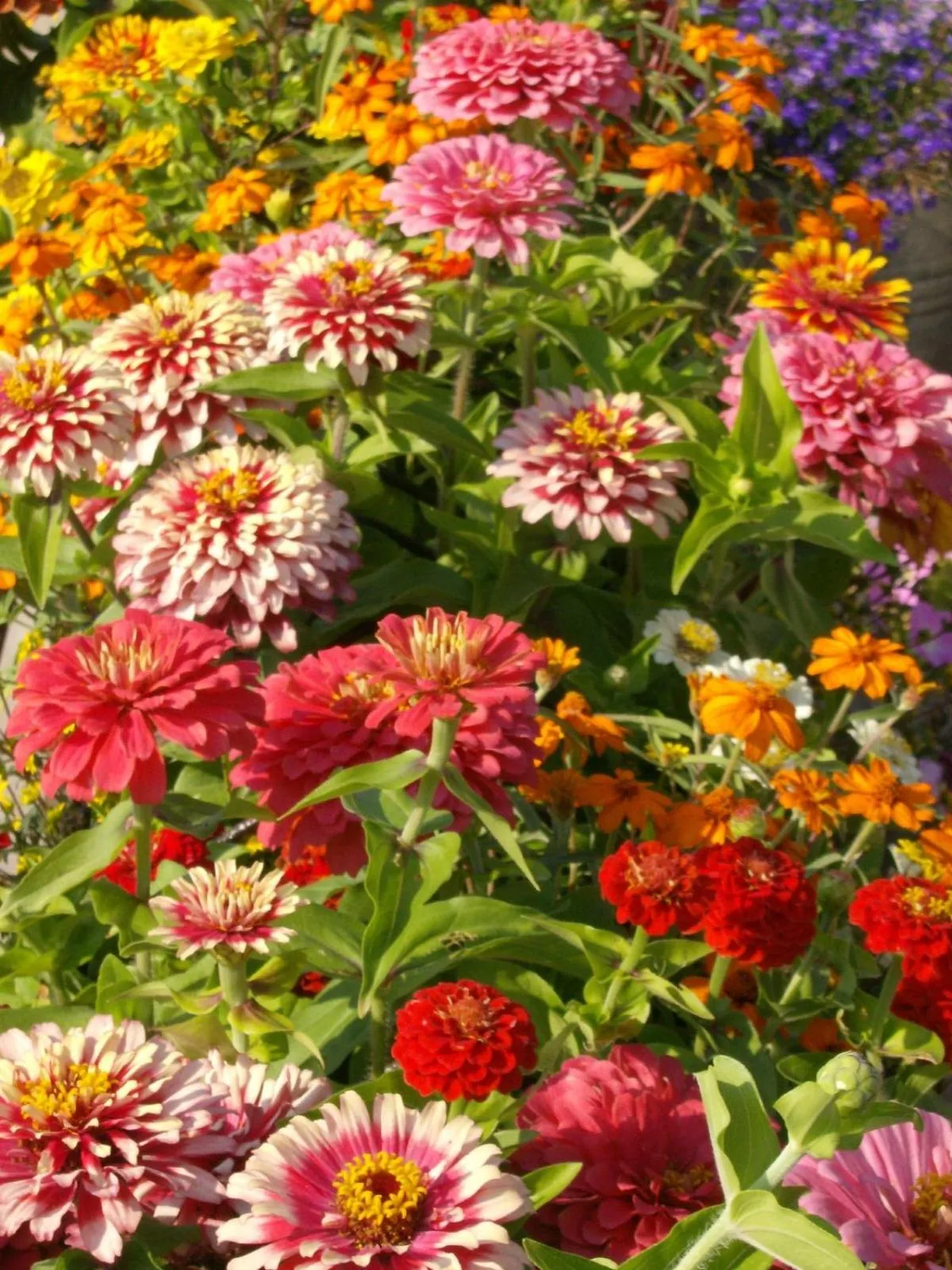 Spring in Ephraim Motel