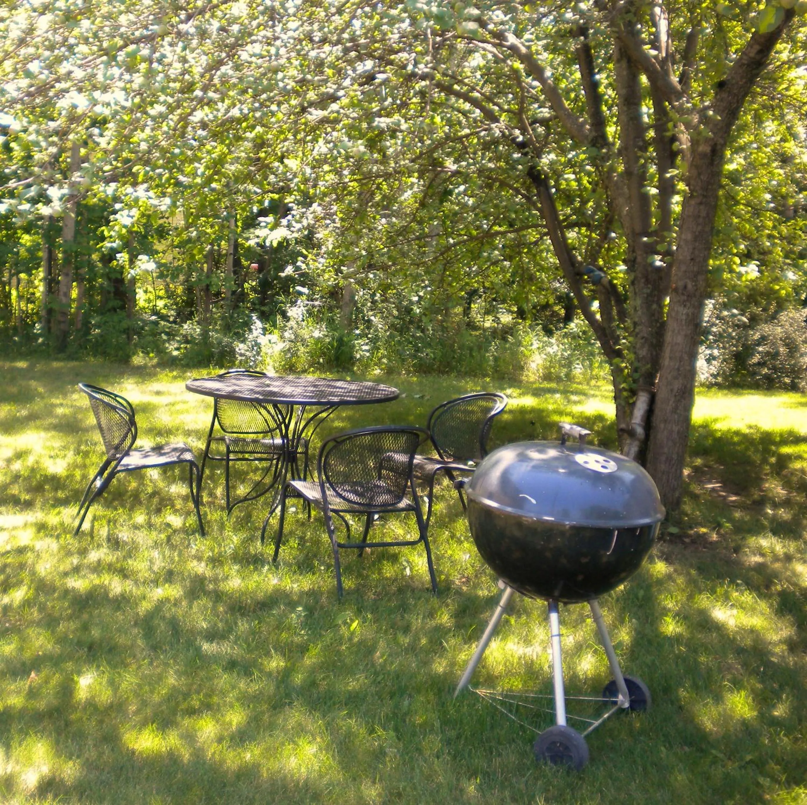 BBQ facilities in Ephraim Motel