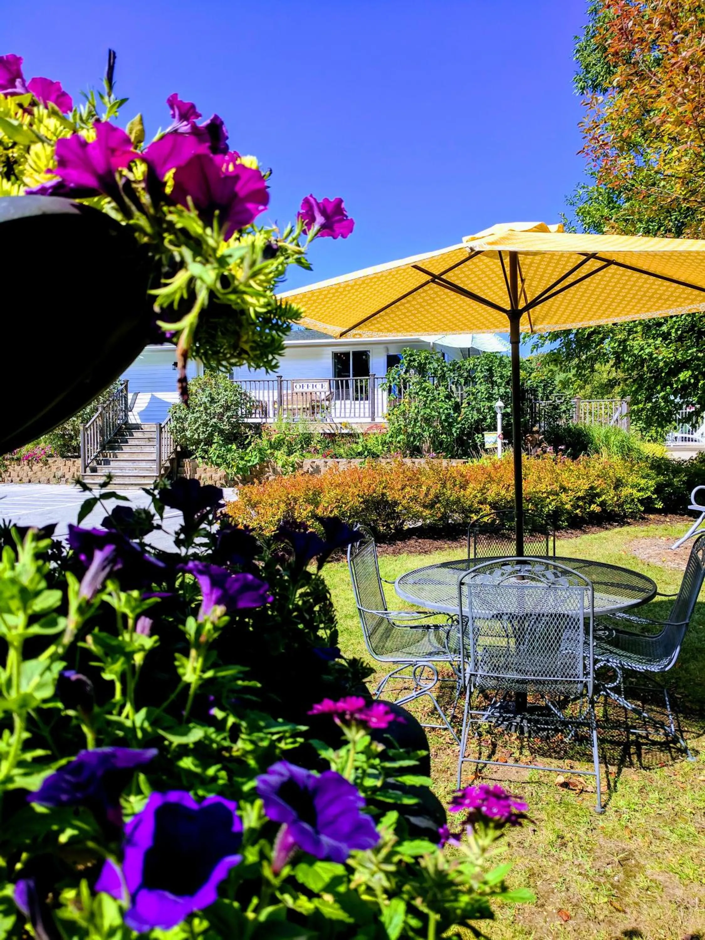 Garden in Ephraim Motel