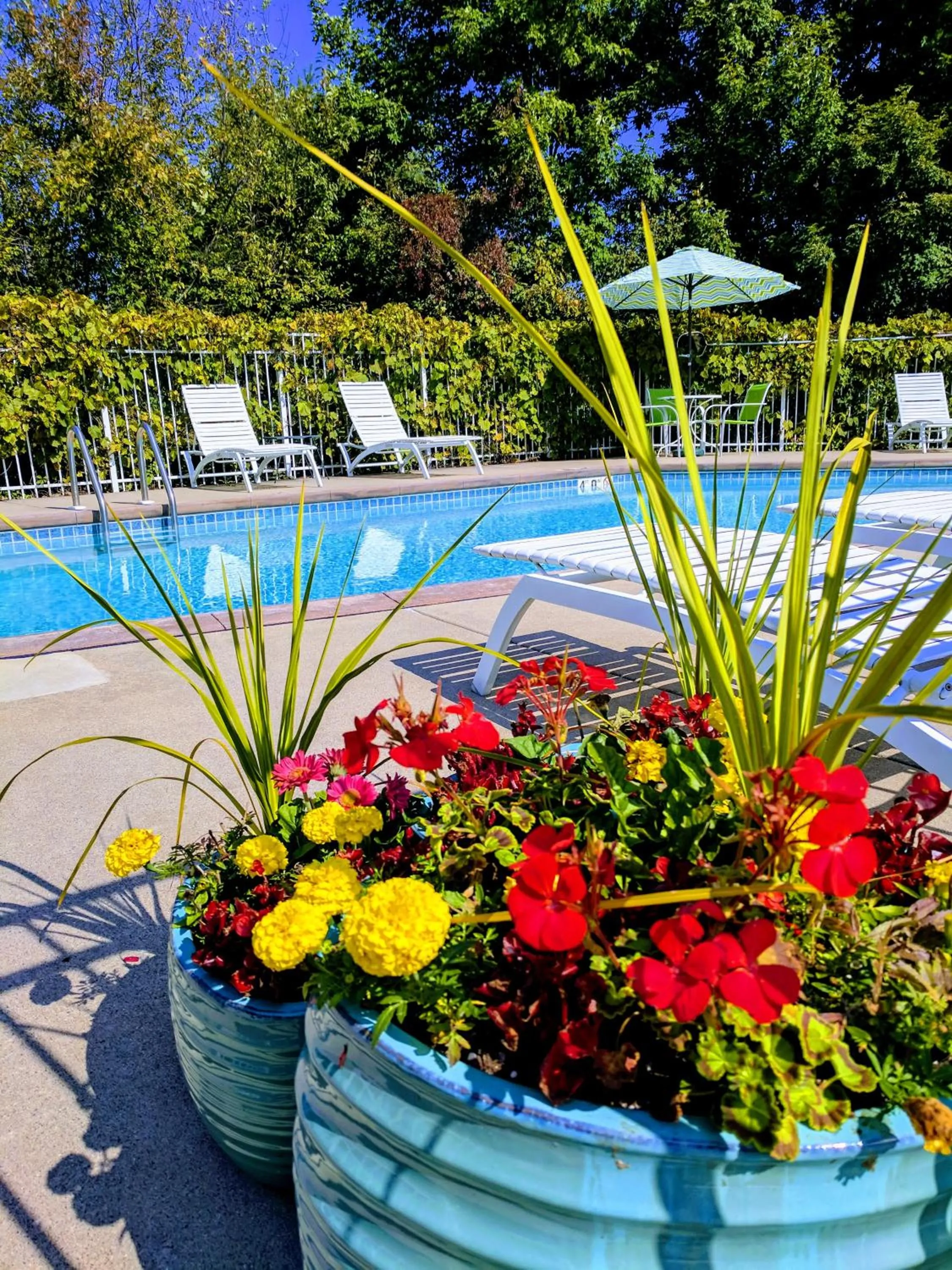 Decorative detail in Ephraim Motel