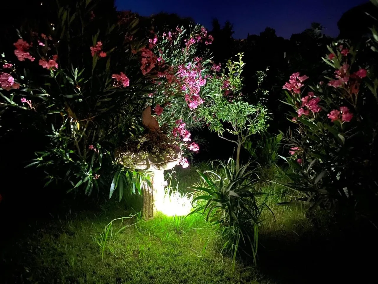 Night in Villa LES FIGUIERS