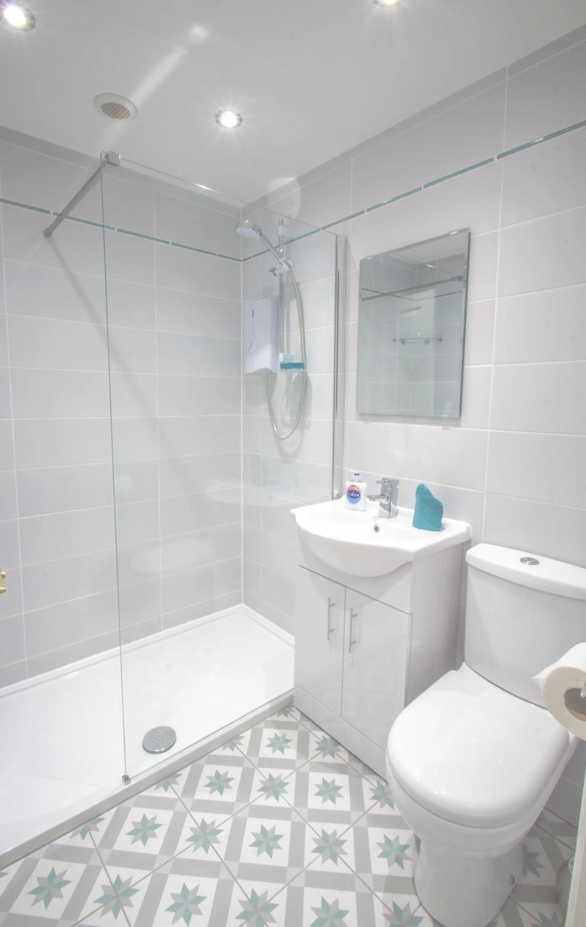 Shower in Altahammond House