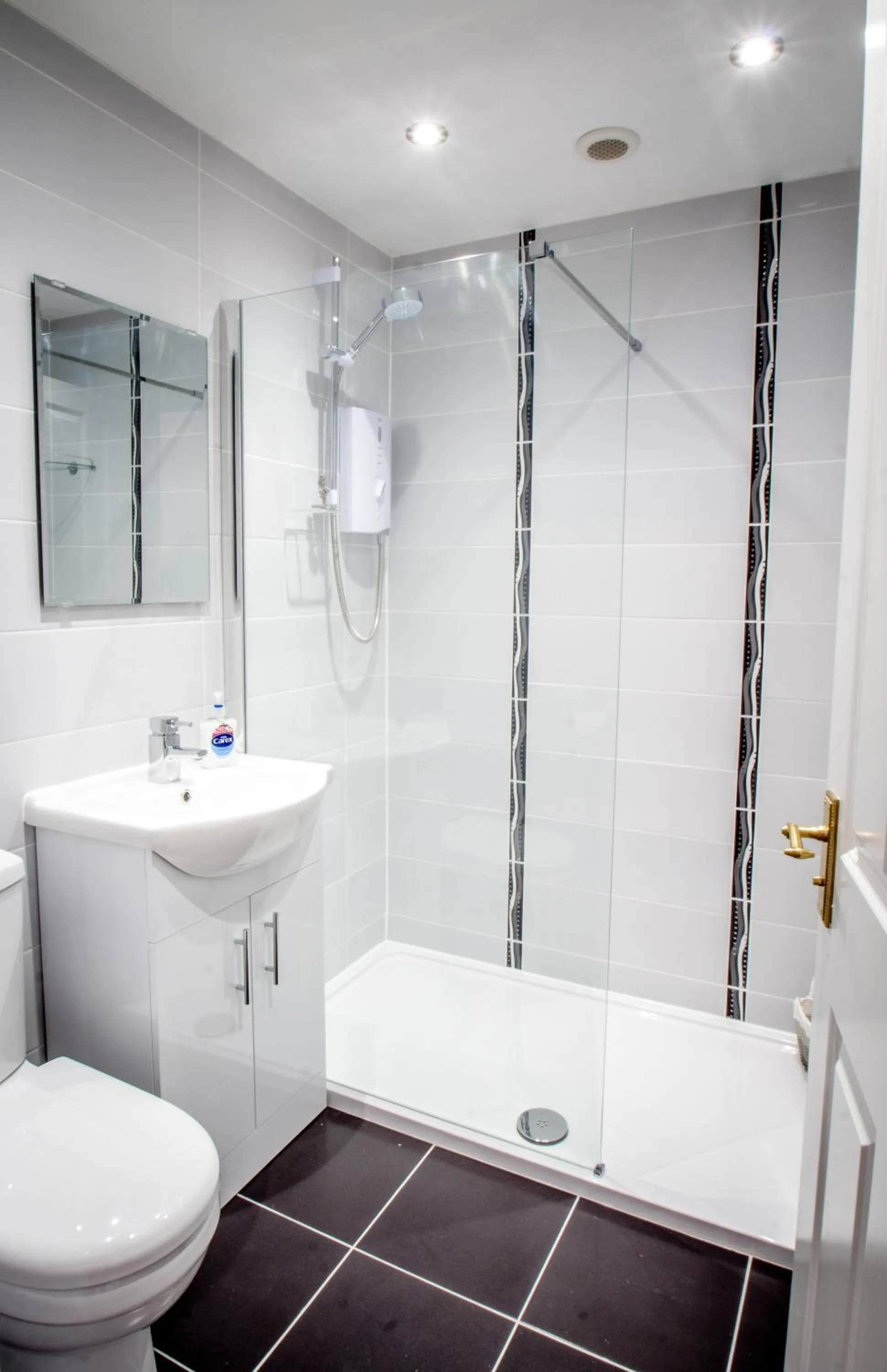 Shower in Altahammond House