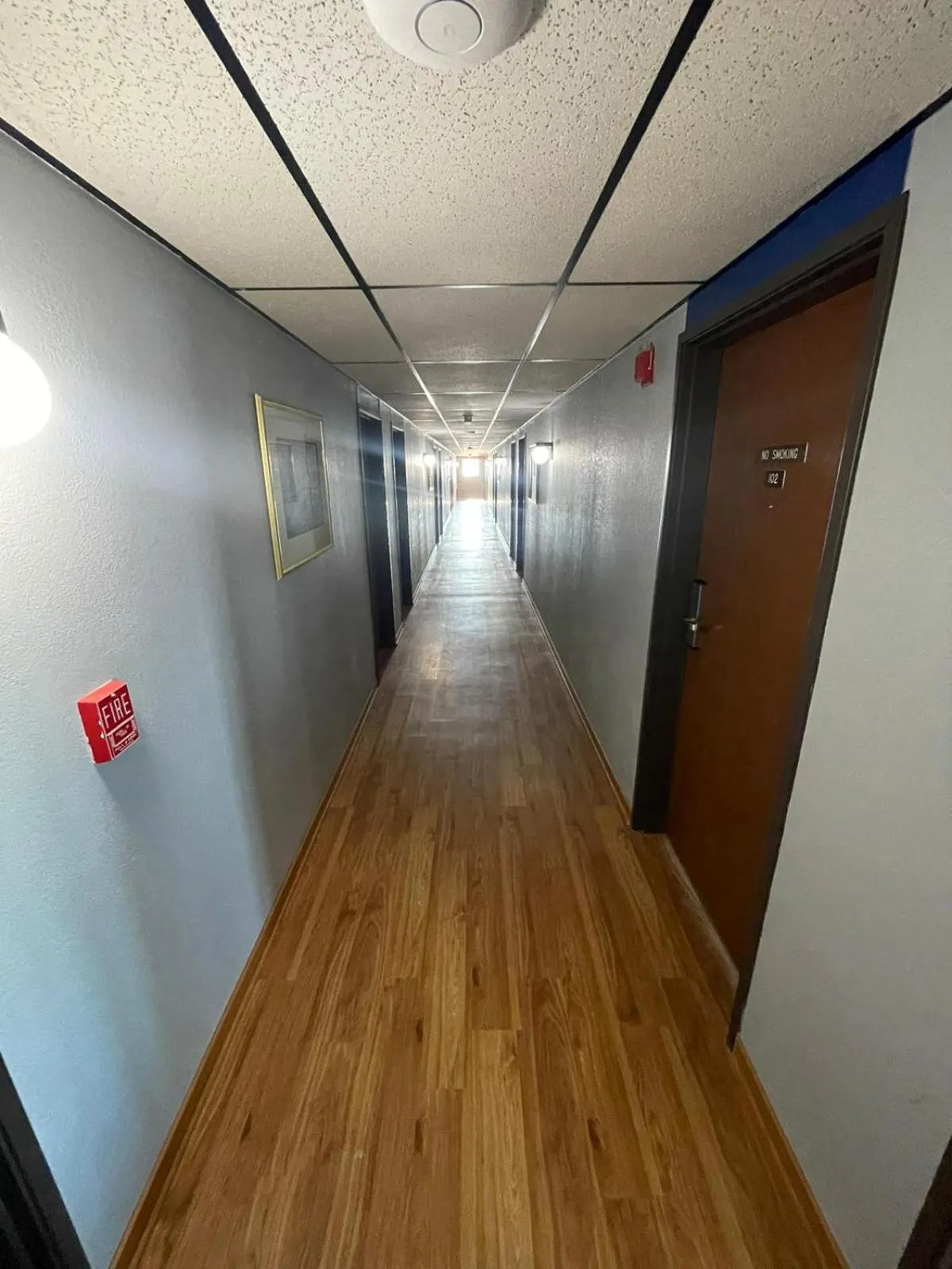 Property building in The Belgium Inn & Suites