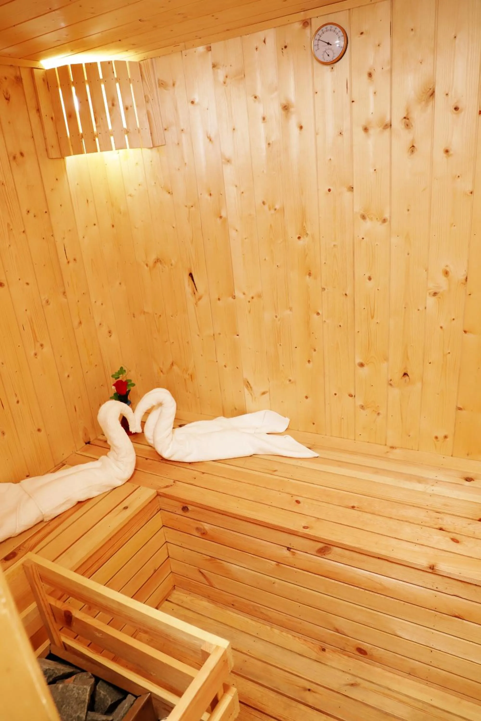 Sauna in Ganesha Palace