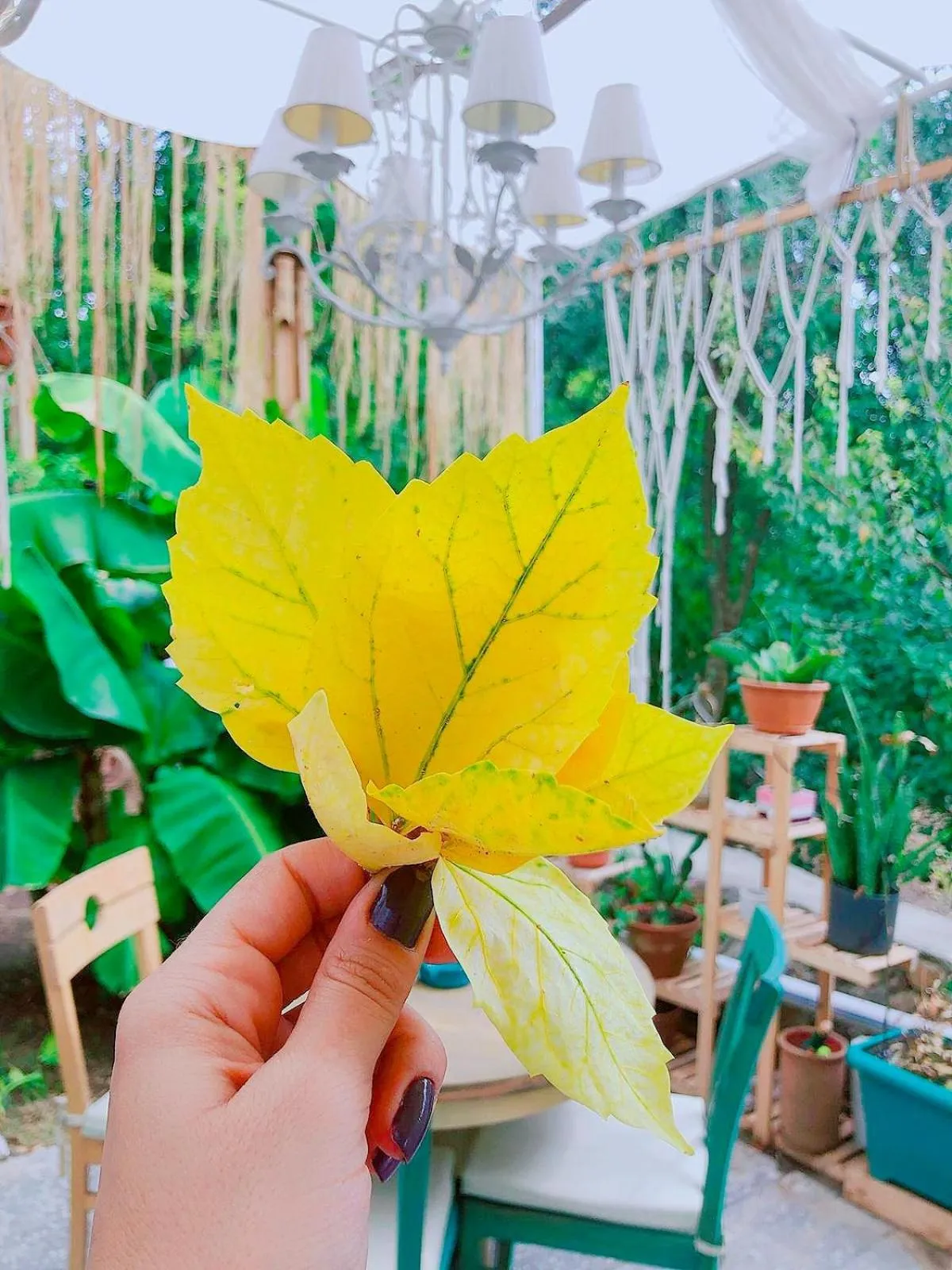 Garden in L'onda Oda Bodrum