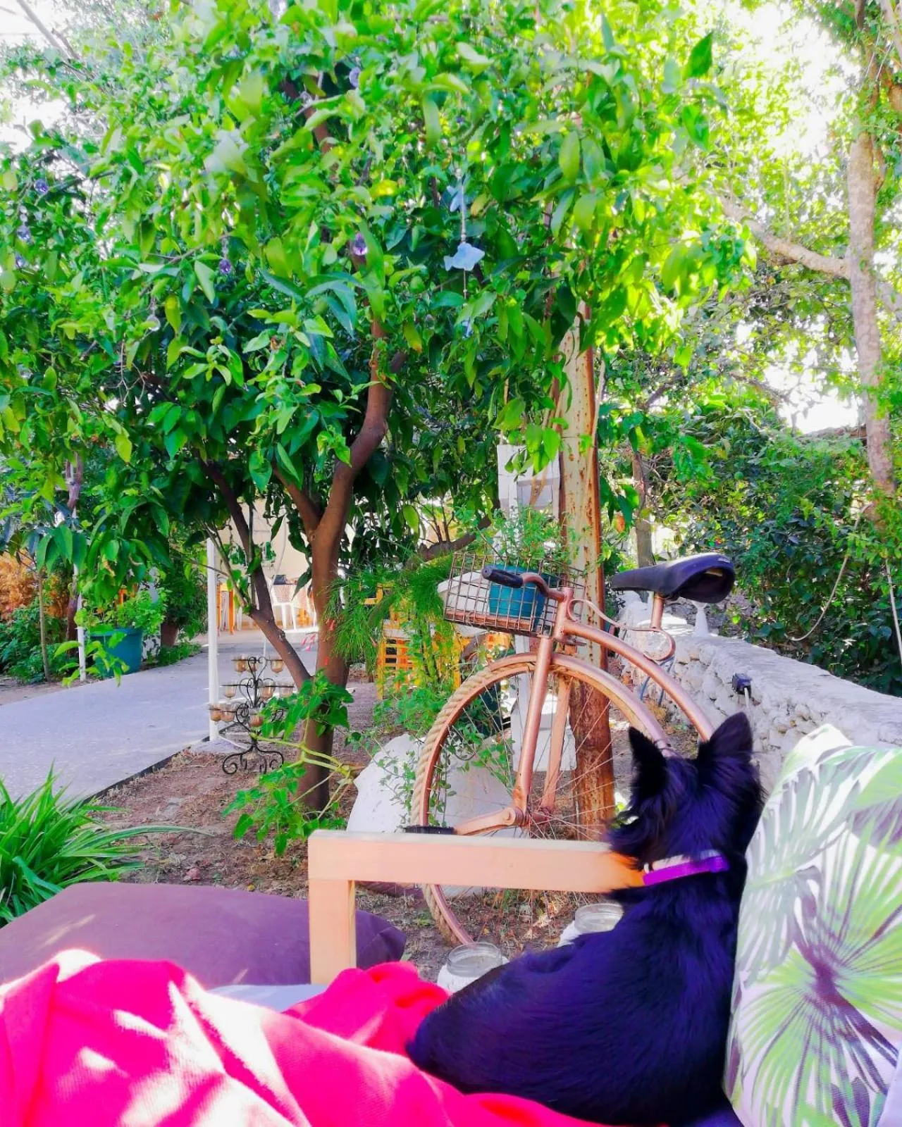 Garden in L'onda Oda Bodrum