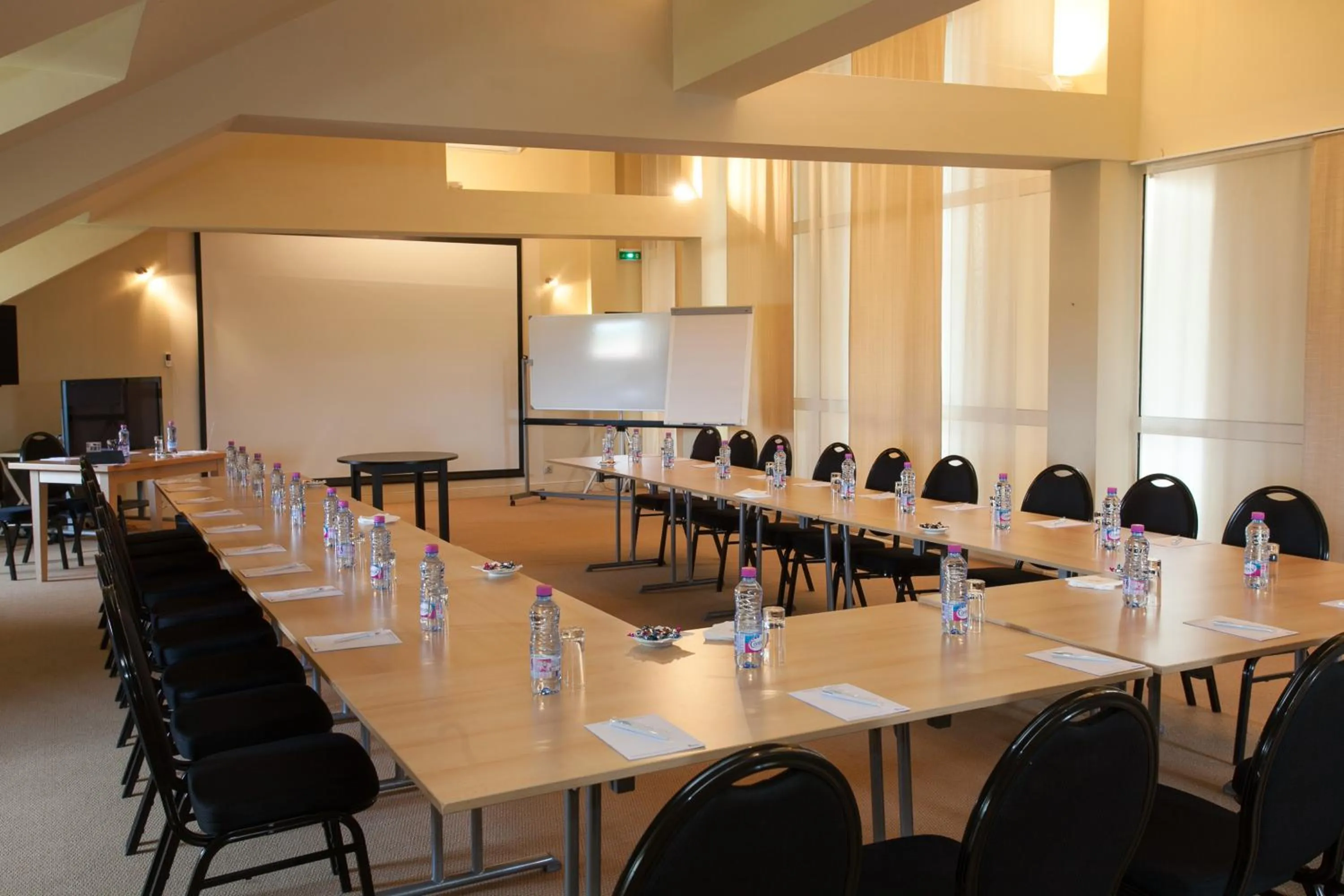 Business facilities in Hôtel Cosmos & Spa