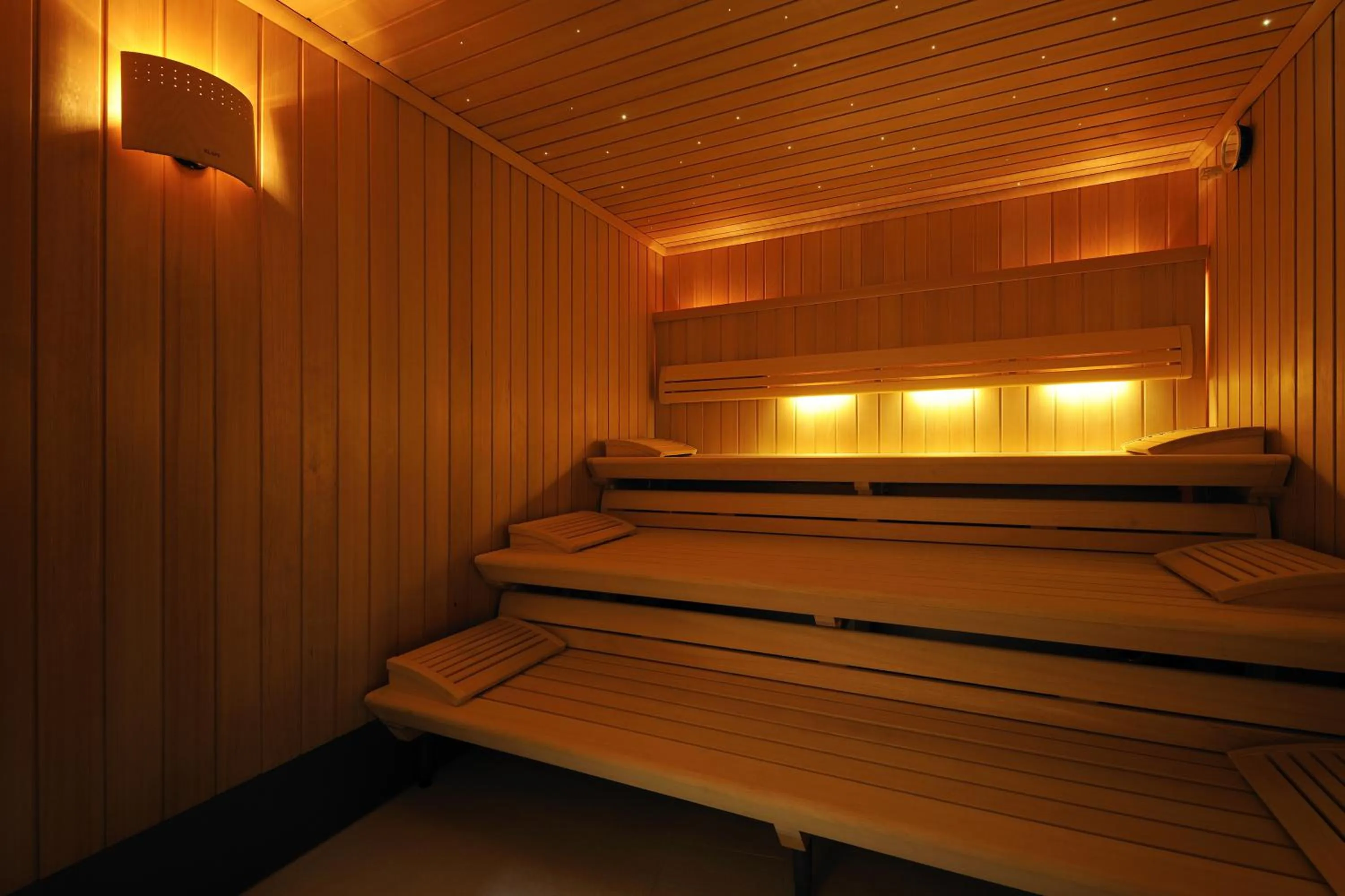 Sauna in LE CLOS DES SOURCES Hôtel & Spa