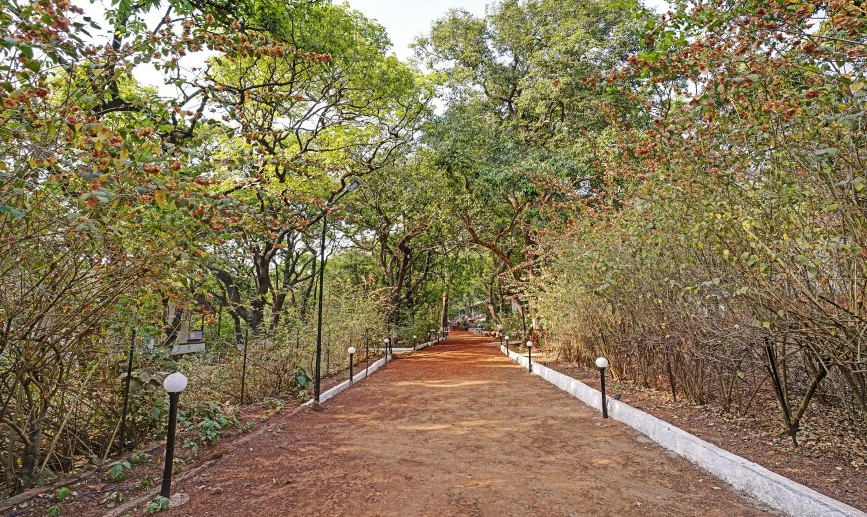 Natural landscape in Treebo Cecil Resort, 600 Mtrs From Matheran Railway Station