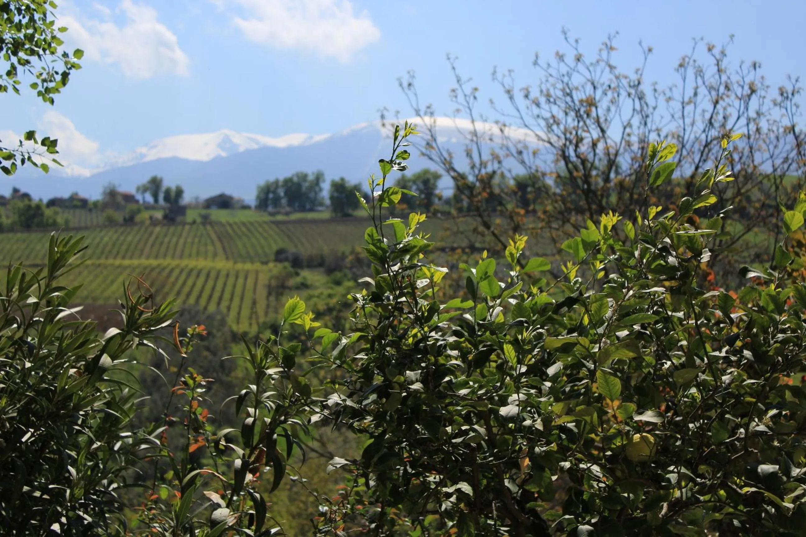 Natural landscape in Frontemaja
