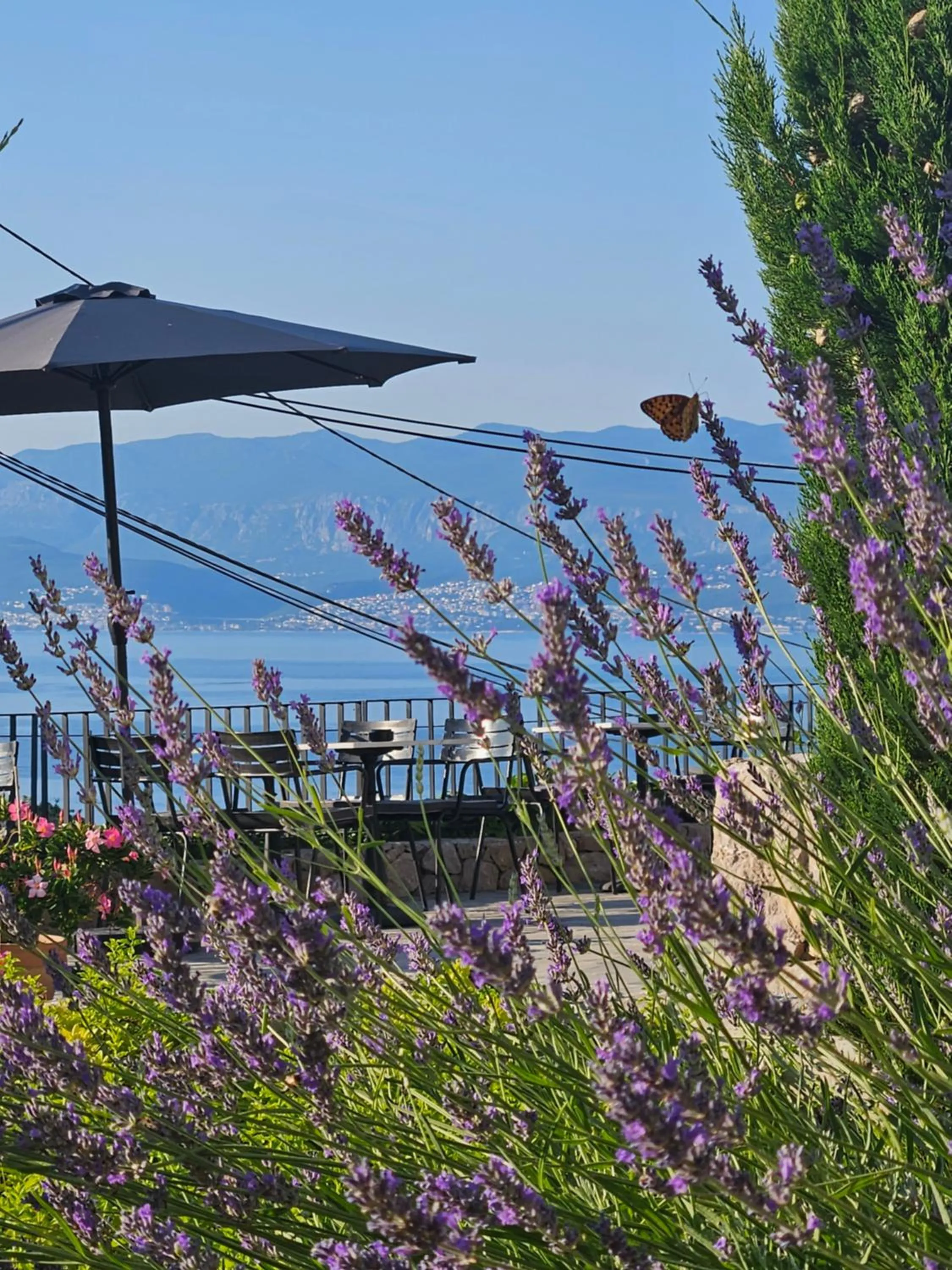 DESIGN hotel VERBENICUM