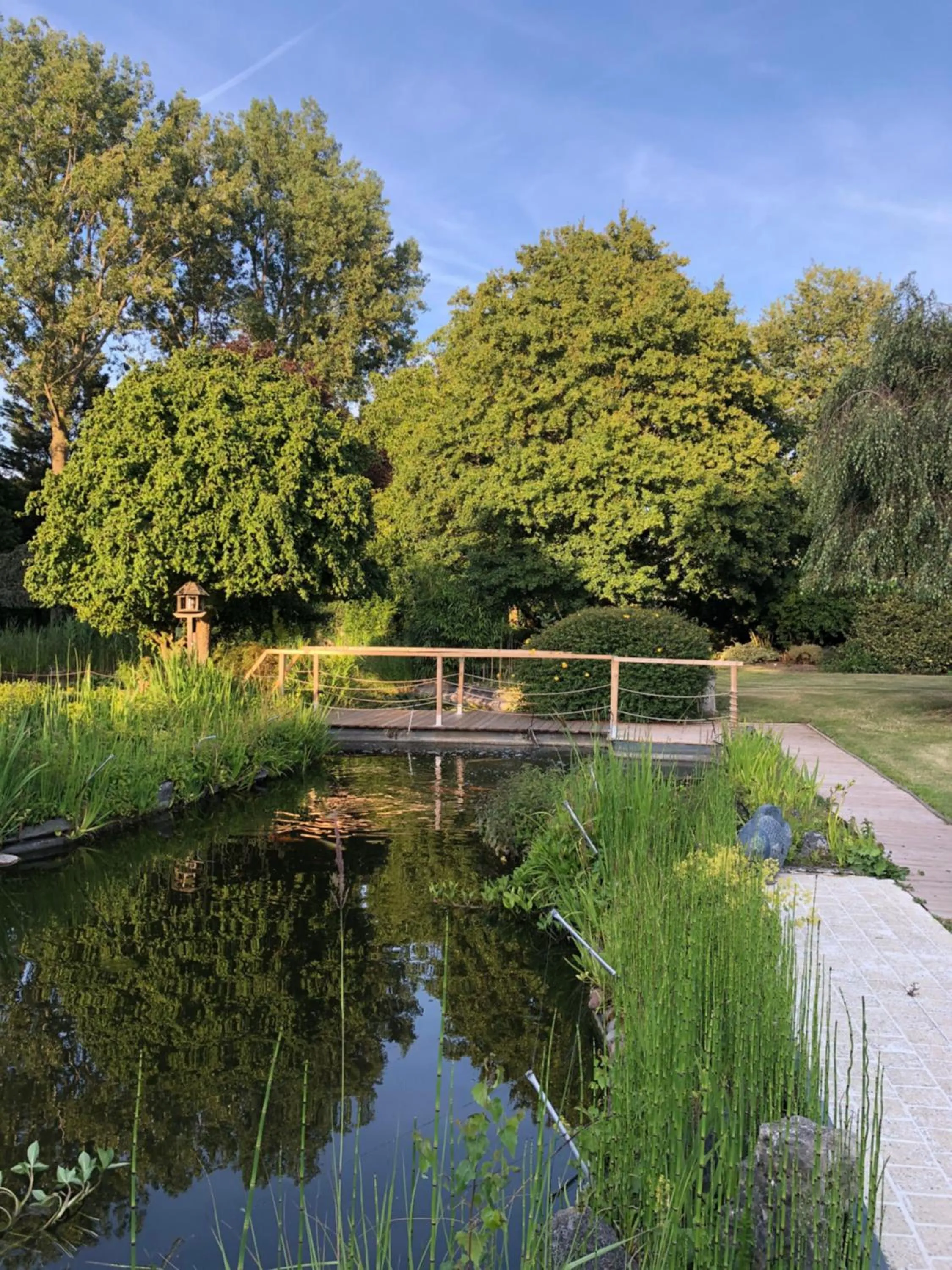 Garden in JARDIN DU MARAIS