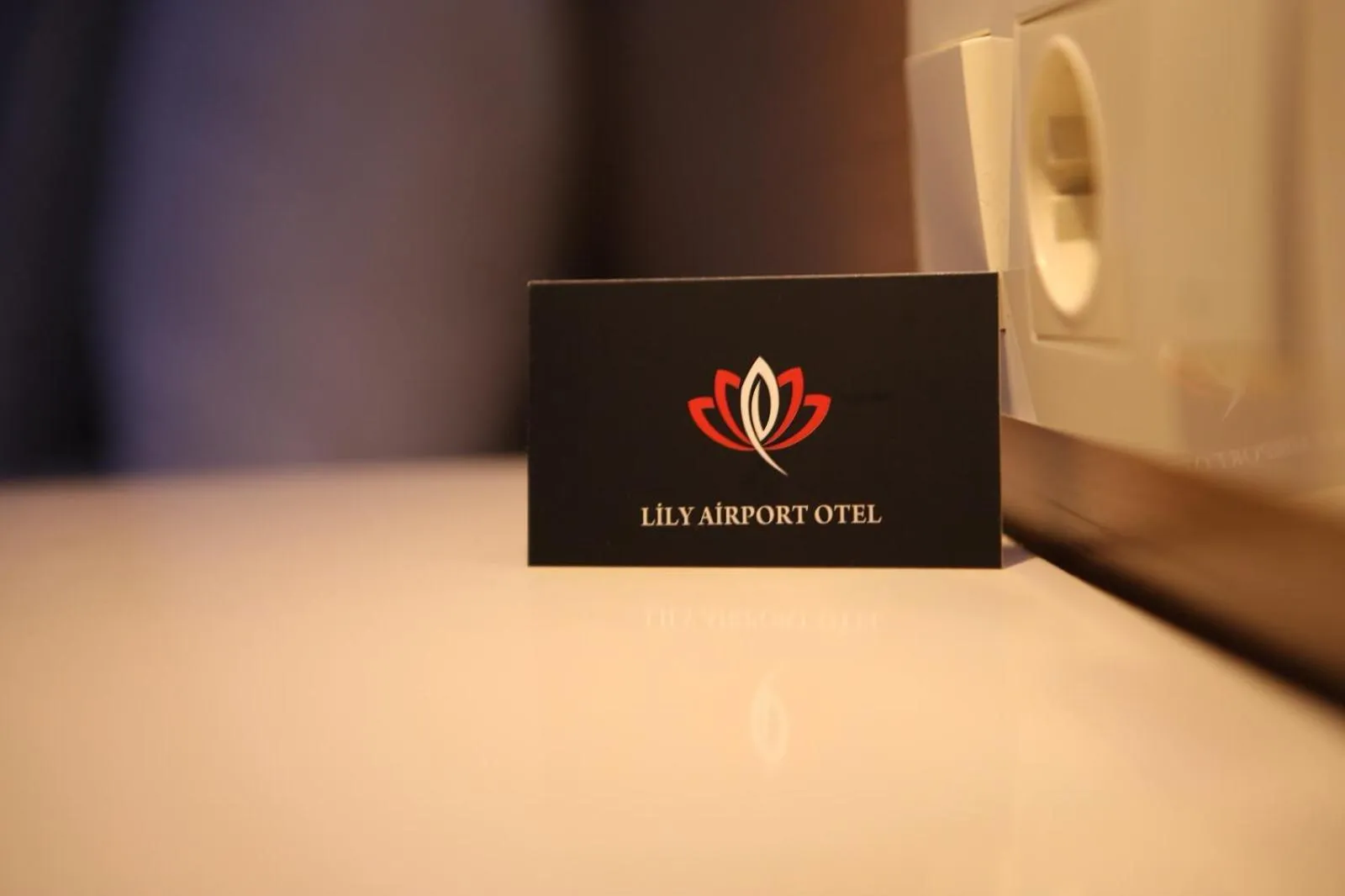 Property logo or sign in lily airport otel