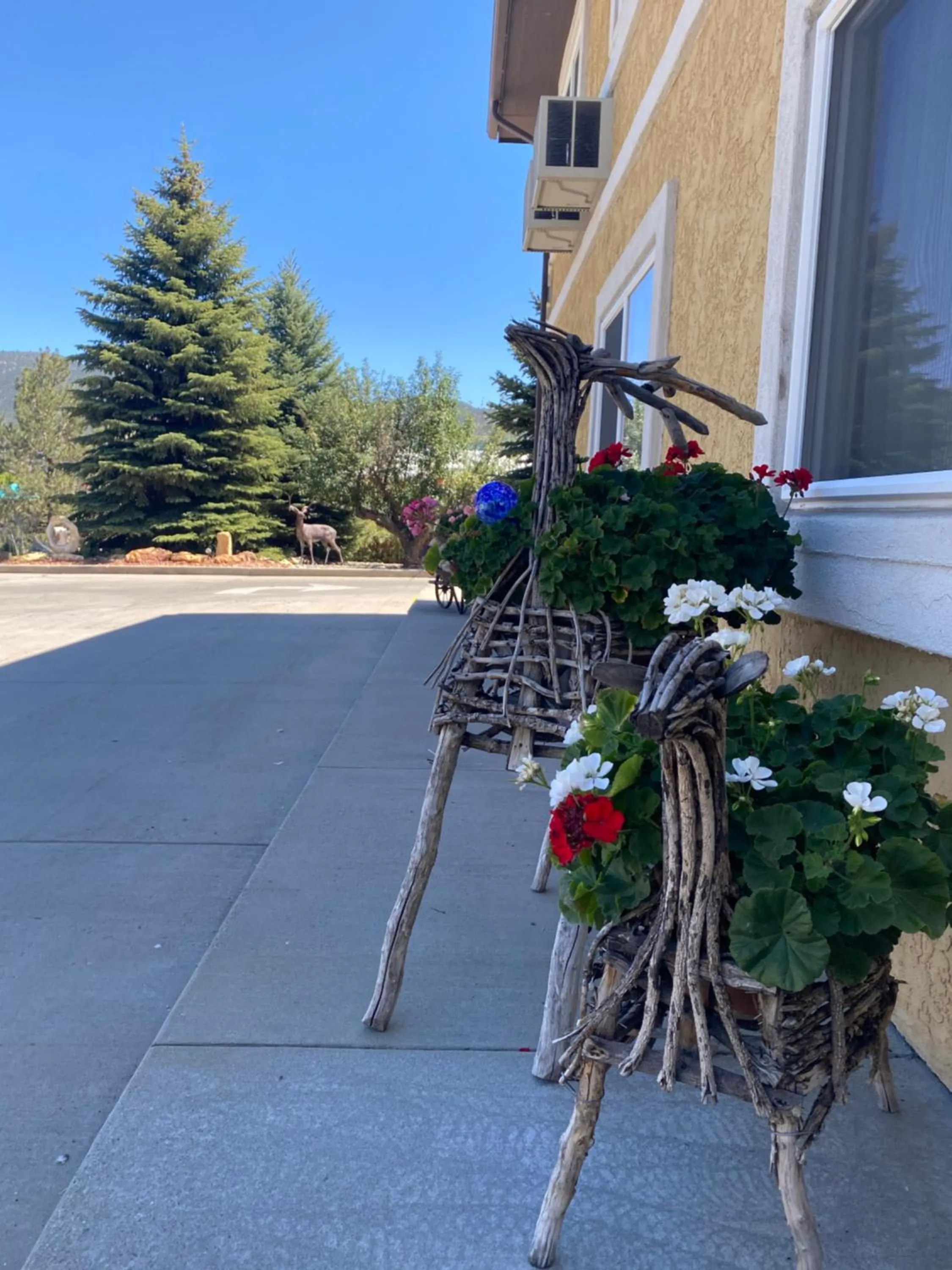 Day in Browns Canyon Inn