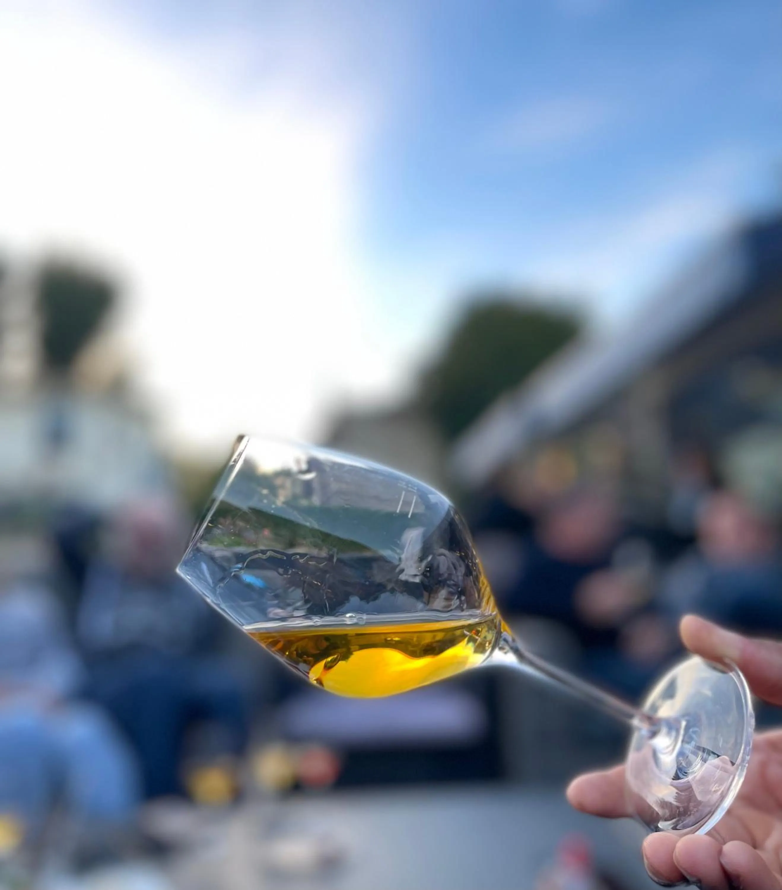 Patio in Hotel la piscine