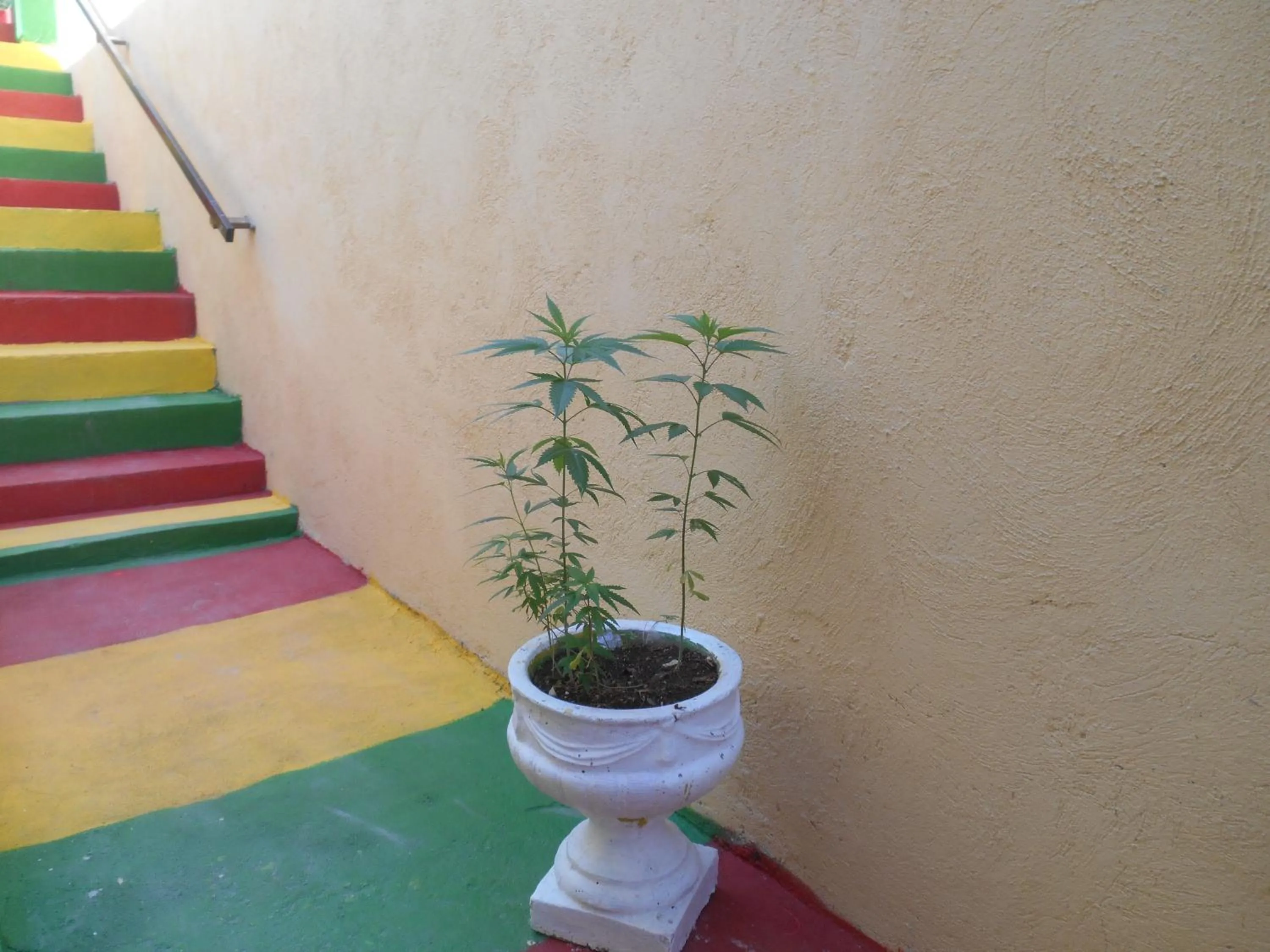 Solet's Paradise Negril