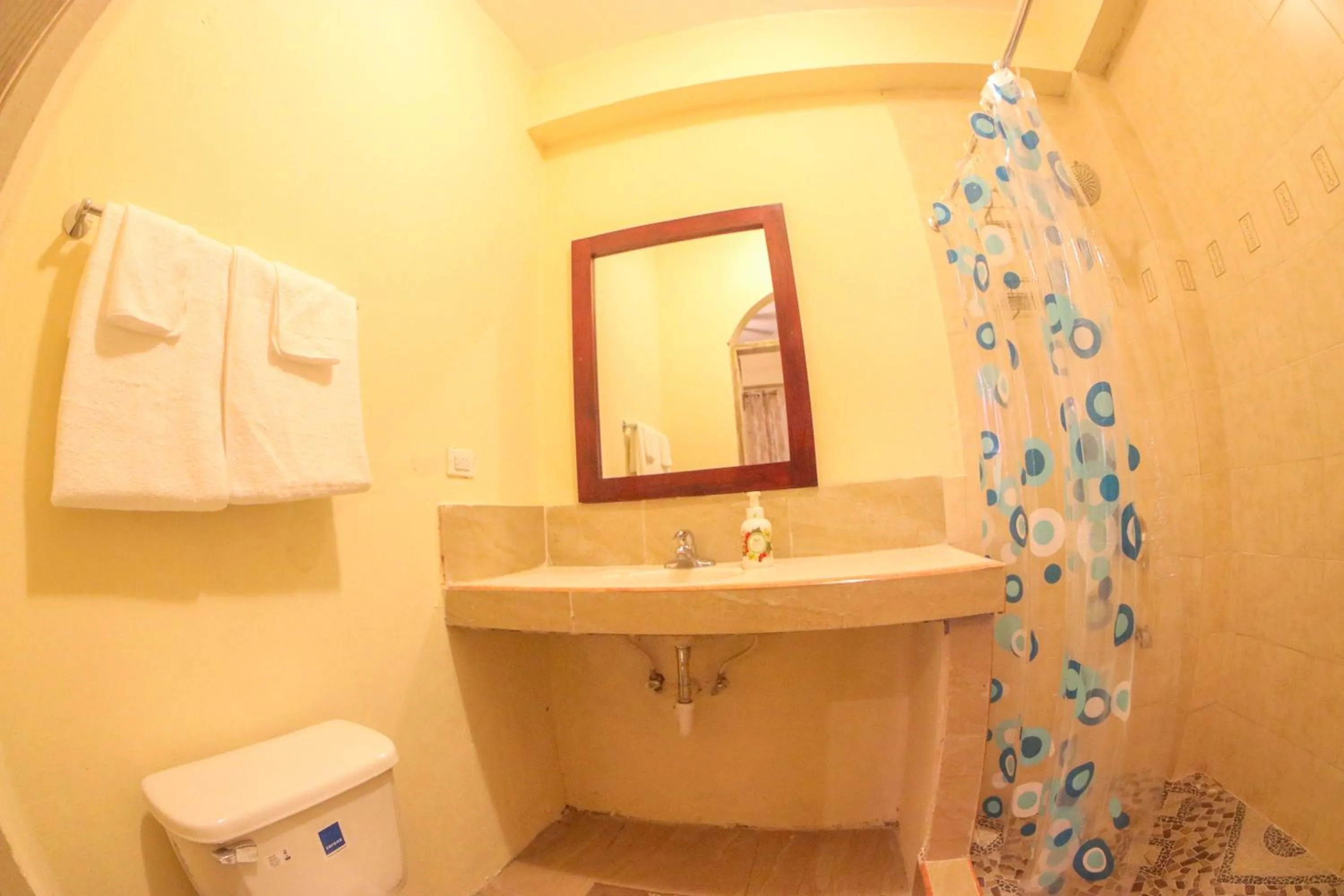 Toilet in Solet's Paradise Negril