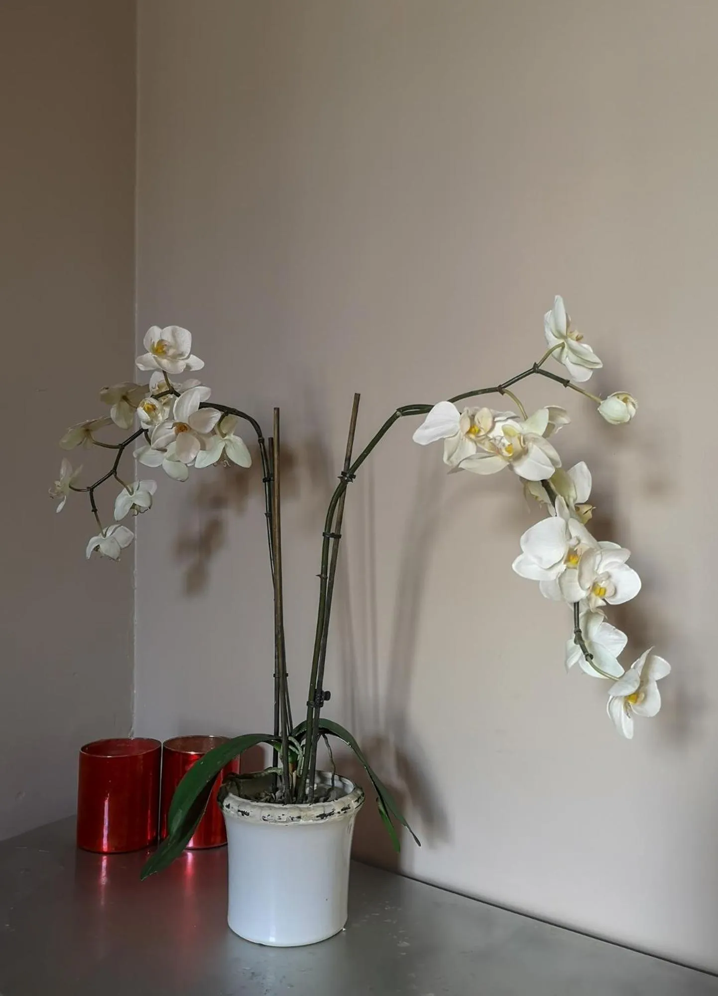 Decorative detail in Villa Kadriorg Hostel