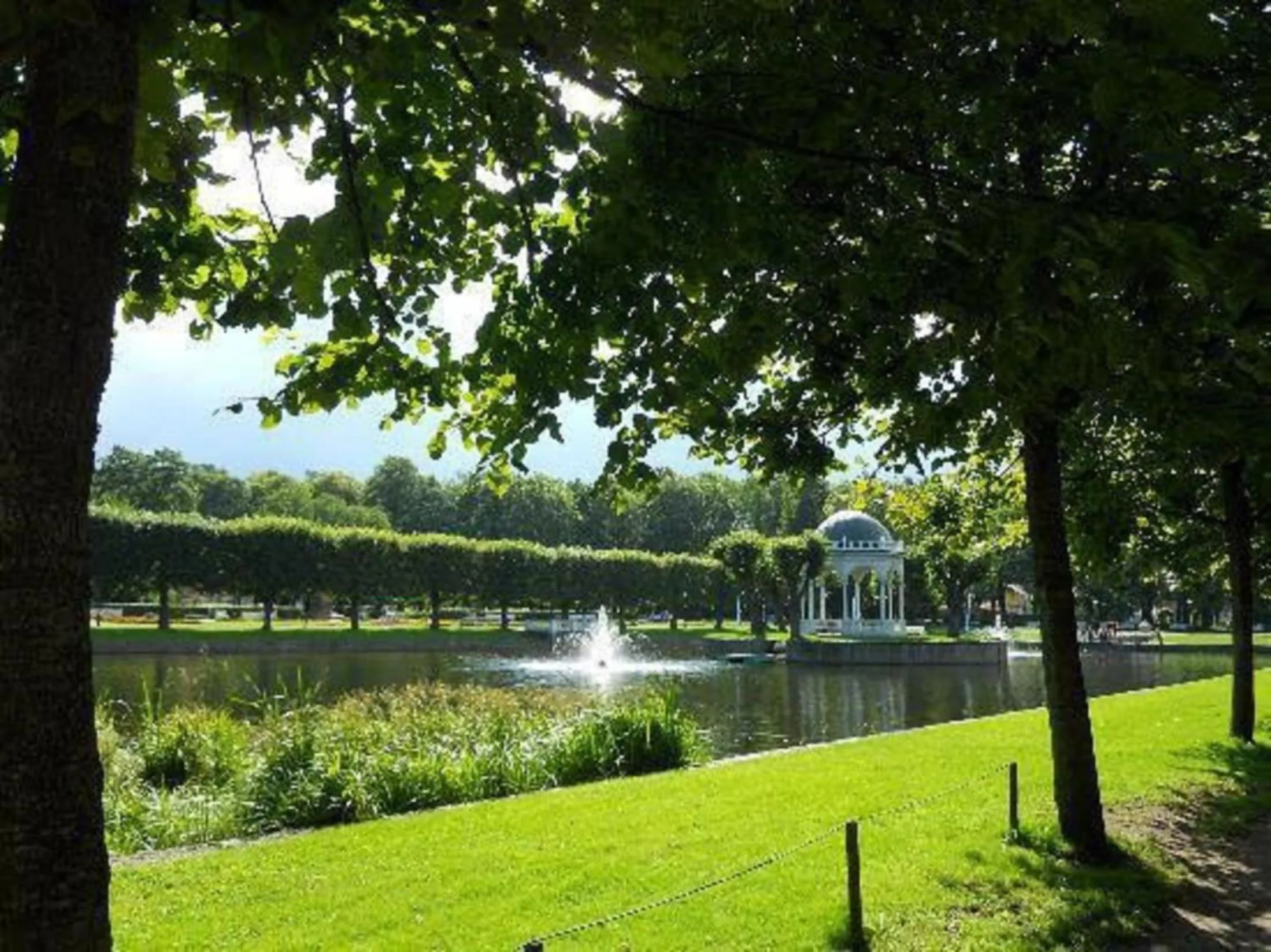 Garden in Villa Kadriorg Hostel