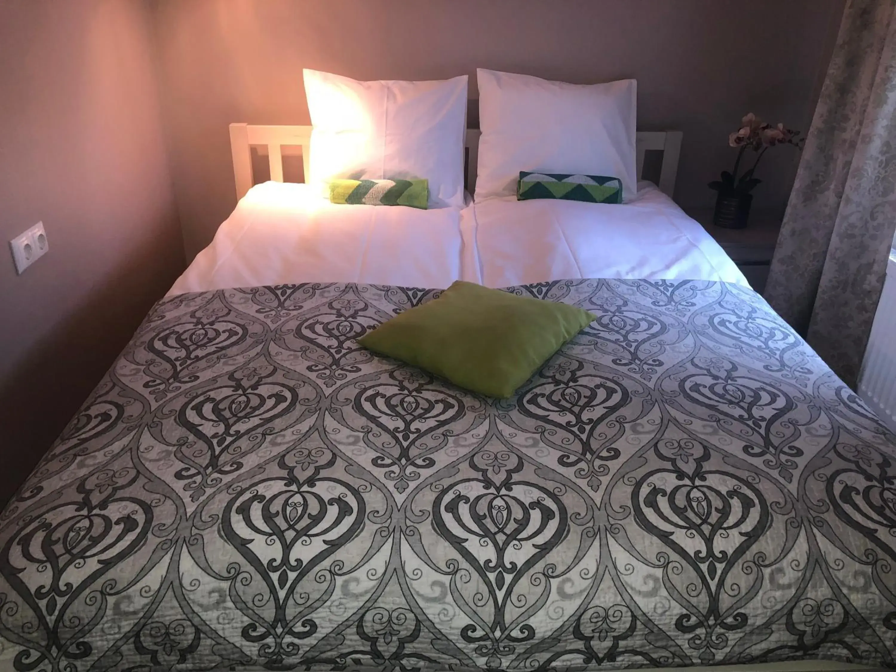 Double Room with Shared Bathroom in Villa Kadriorg Hostel Double Room with Shared Bathroom in Villa Kadriorg Hostel