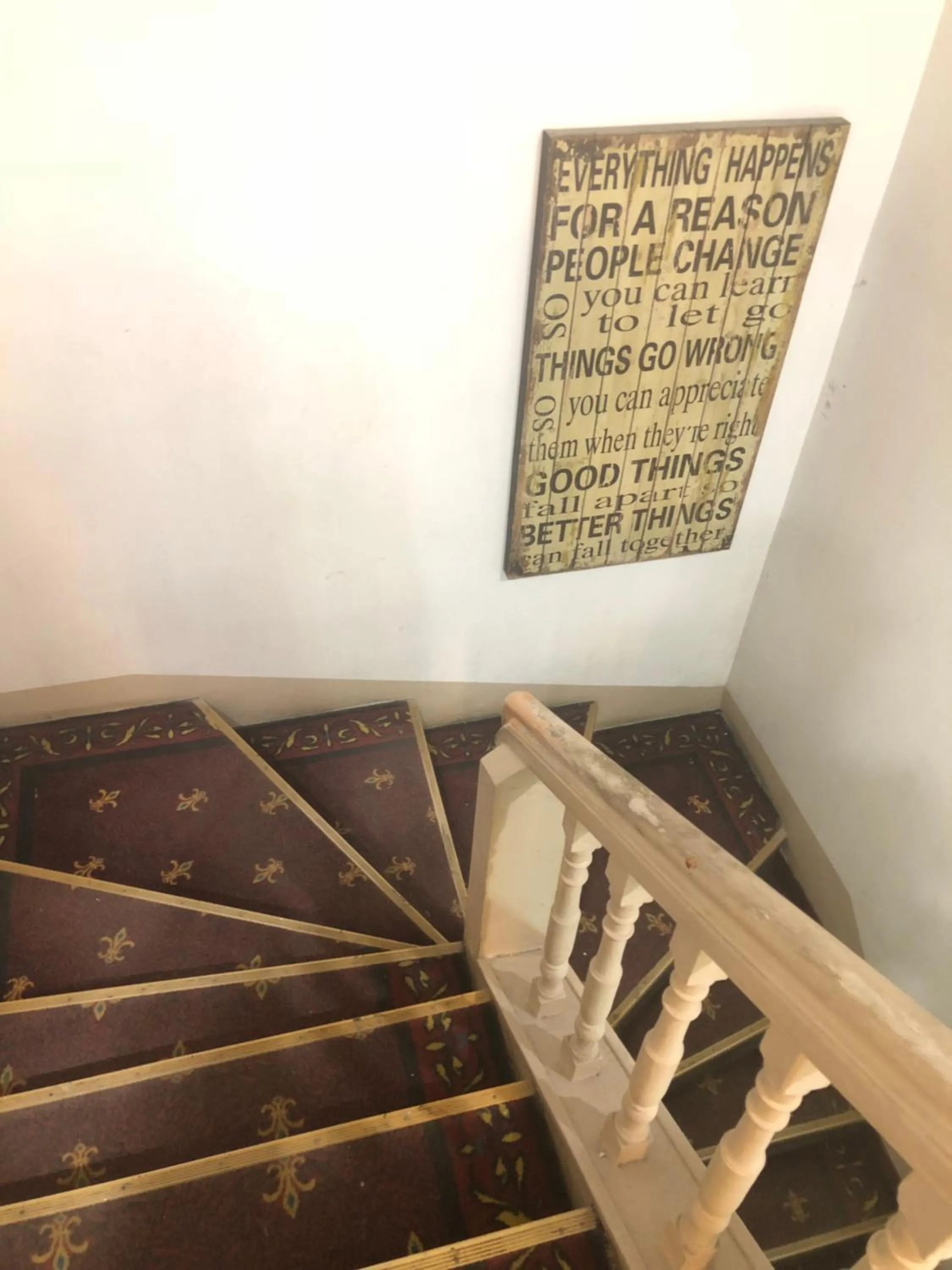 Area and facilities in Villa Kadriorg Hostel