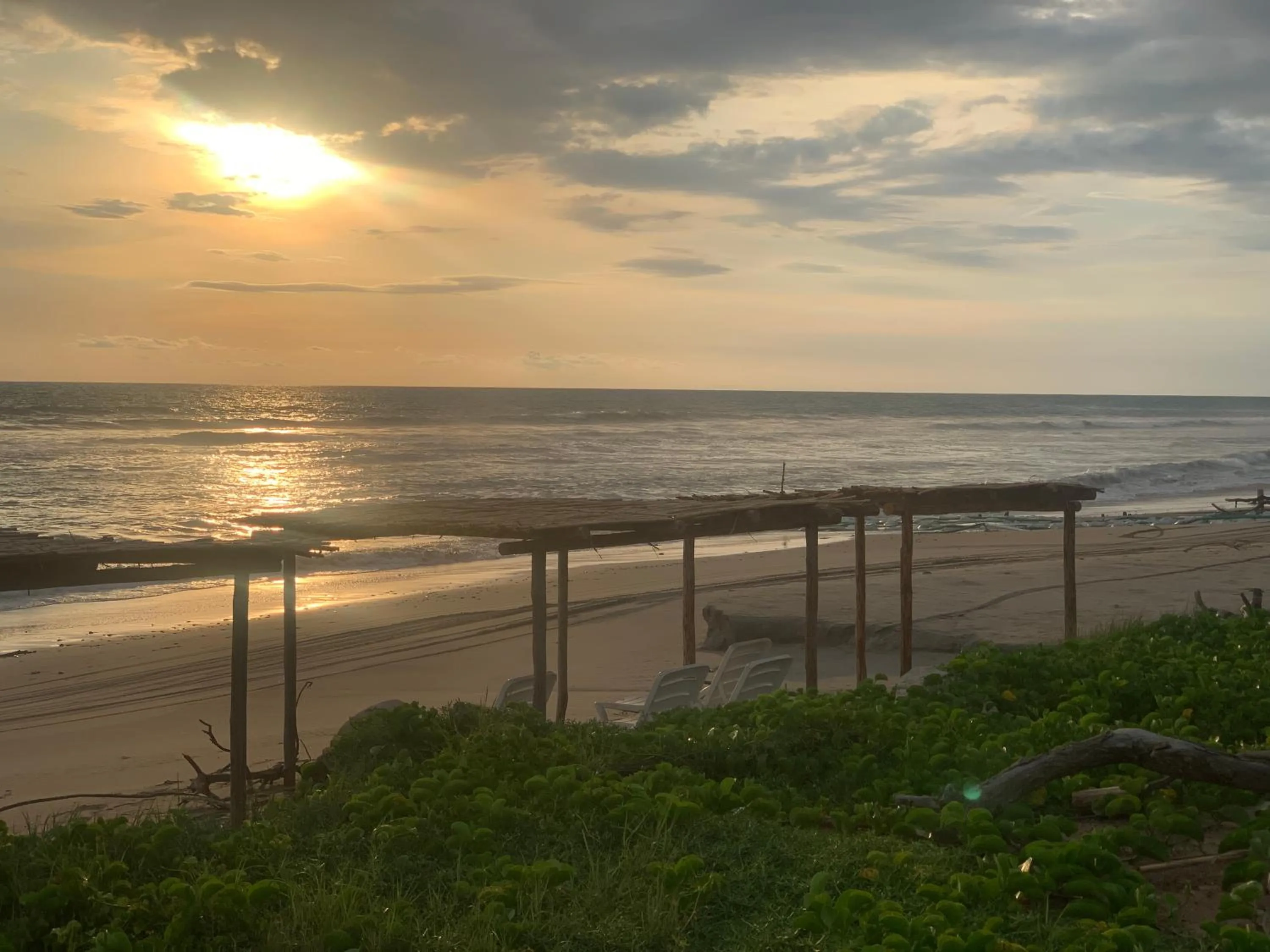 Natural landscape in Playa Esperanza Resort