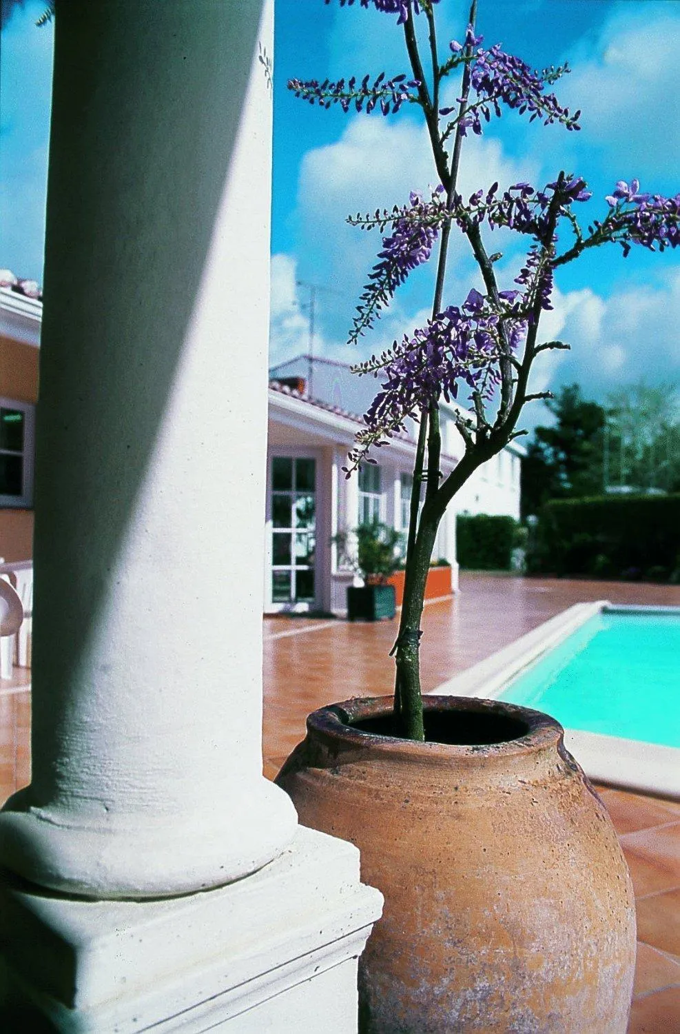 Decorative detail in Le Manoir de l'antiquité