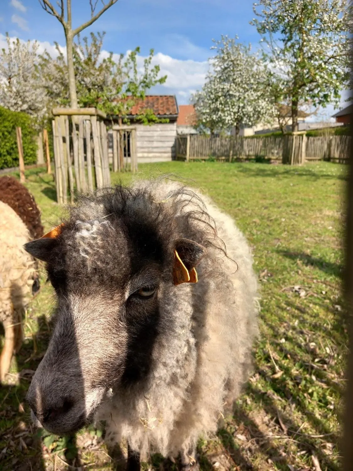 Garden in De Bonderbei
