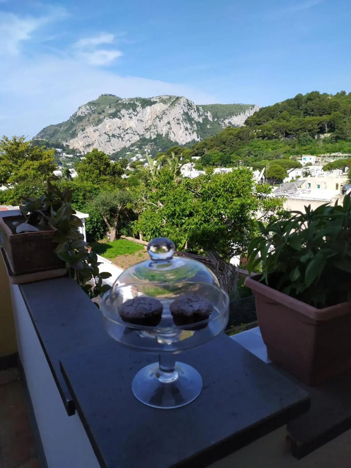 Restaurant/places to eat in La casa di Armando