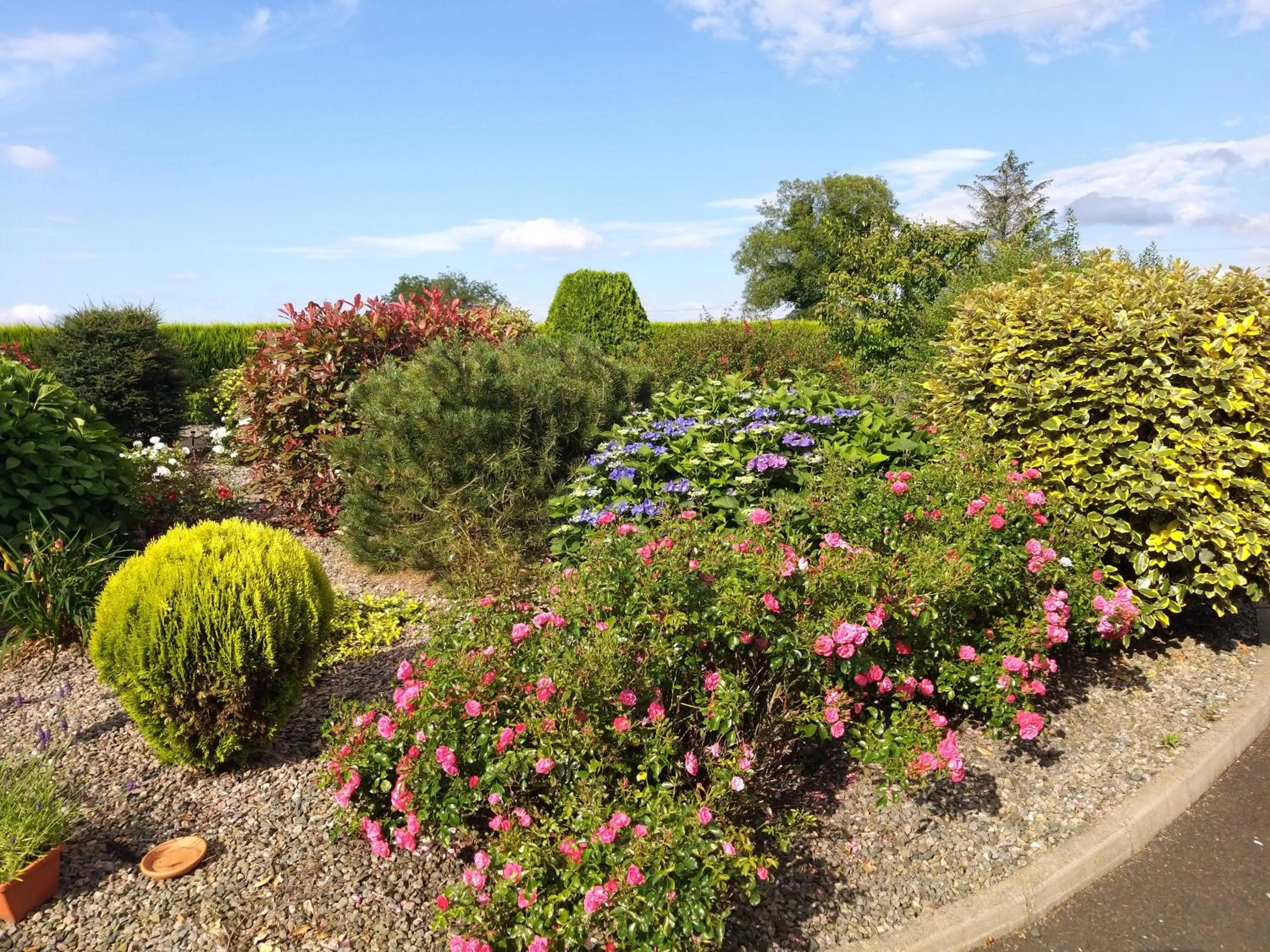 Antrim Heights Estate