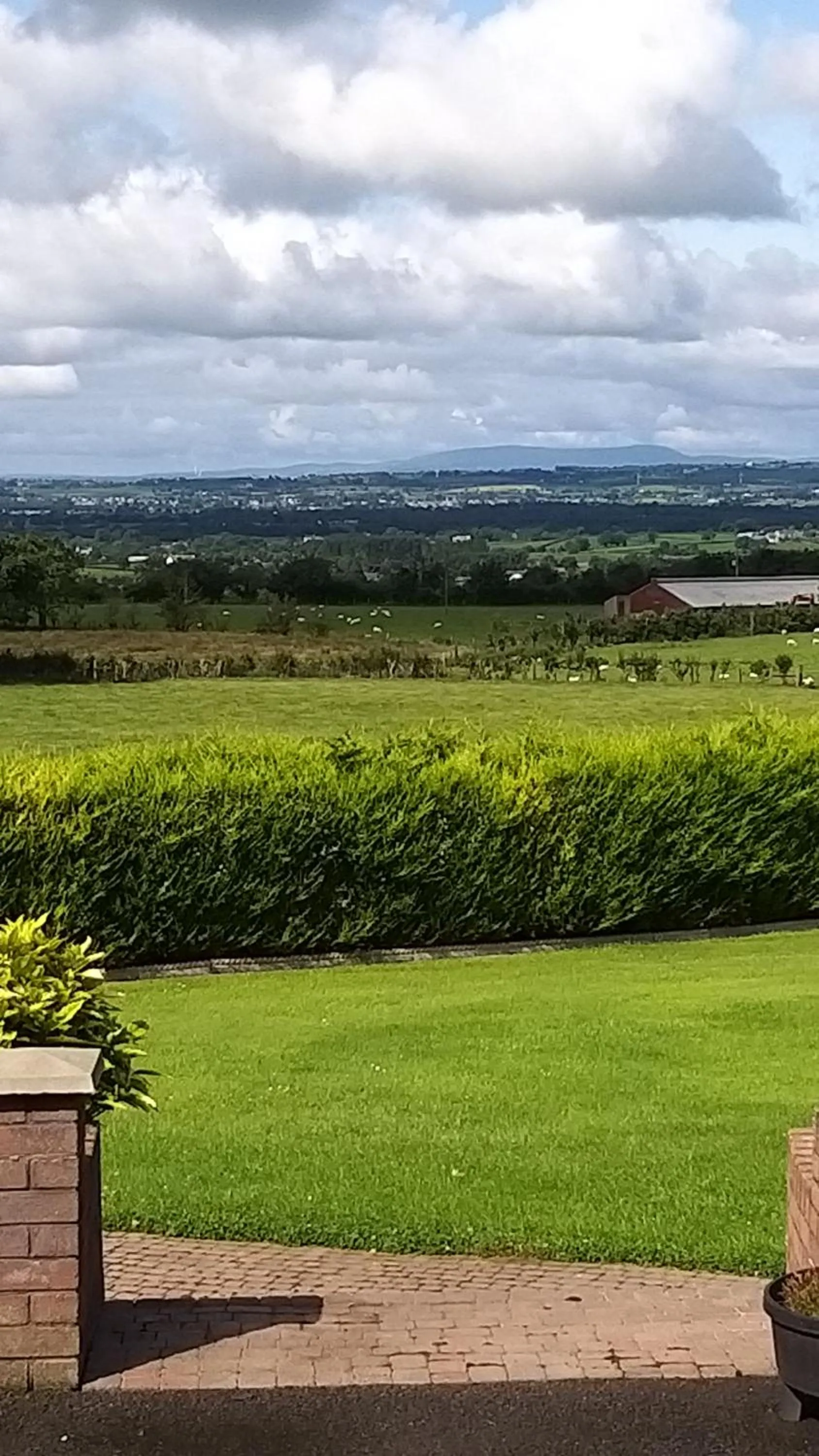 Garden in Antrim Heights Estate