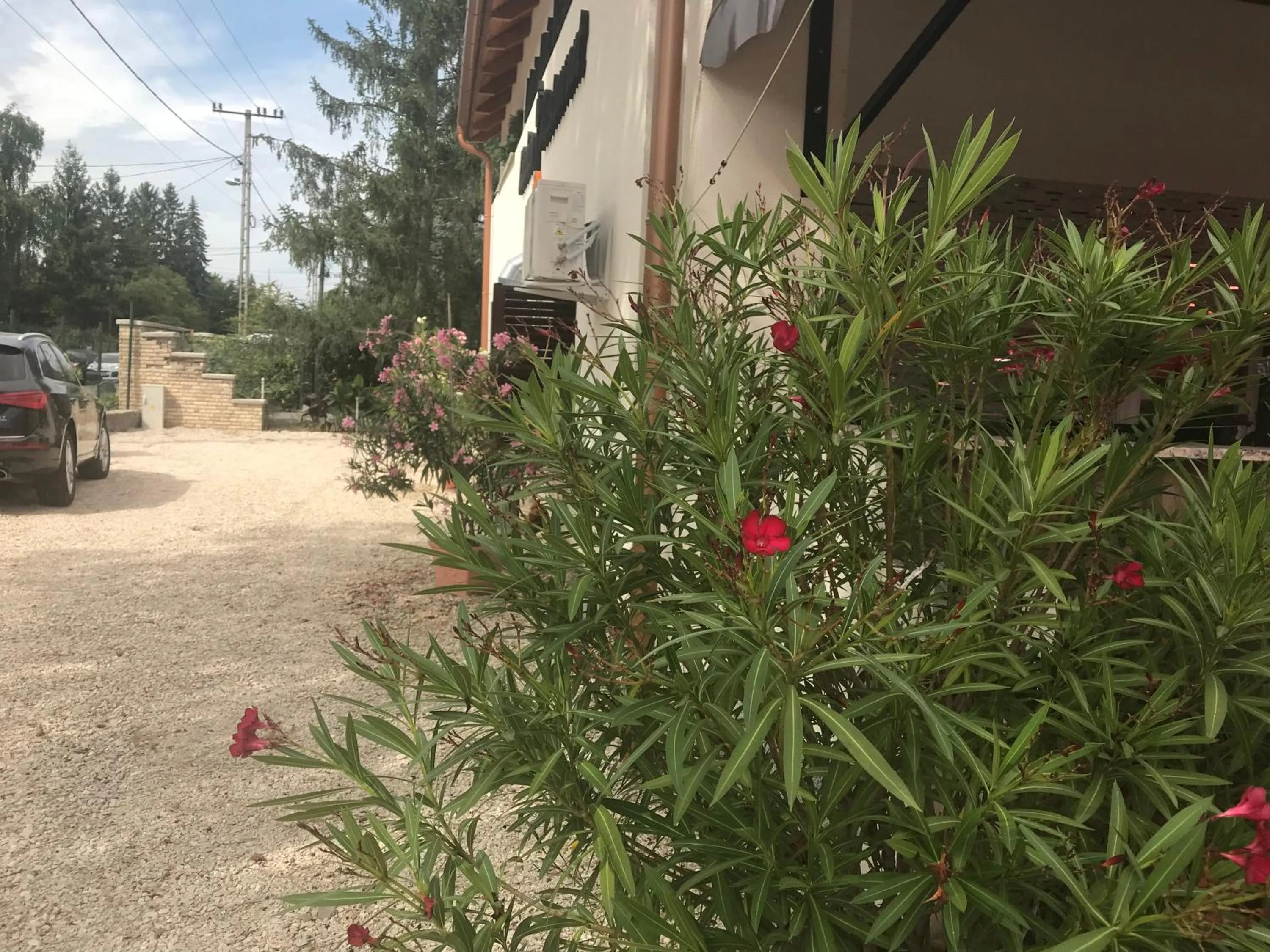 Admiralitás Kitchen and Restaurant