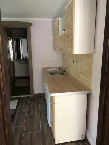 One-Bedroom Suite in Admiralitás Kitchen and Restaurant One-Bedroom Suite in Admiralitás Kitchen and Restaurant