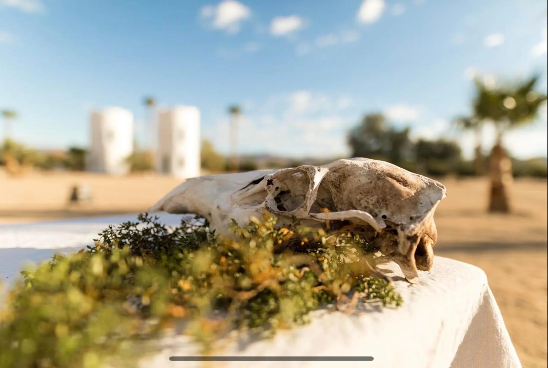 Patio in The Castle House Estate