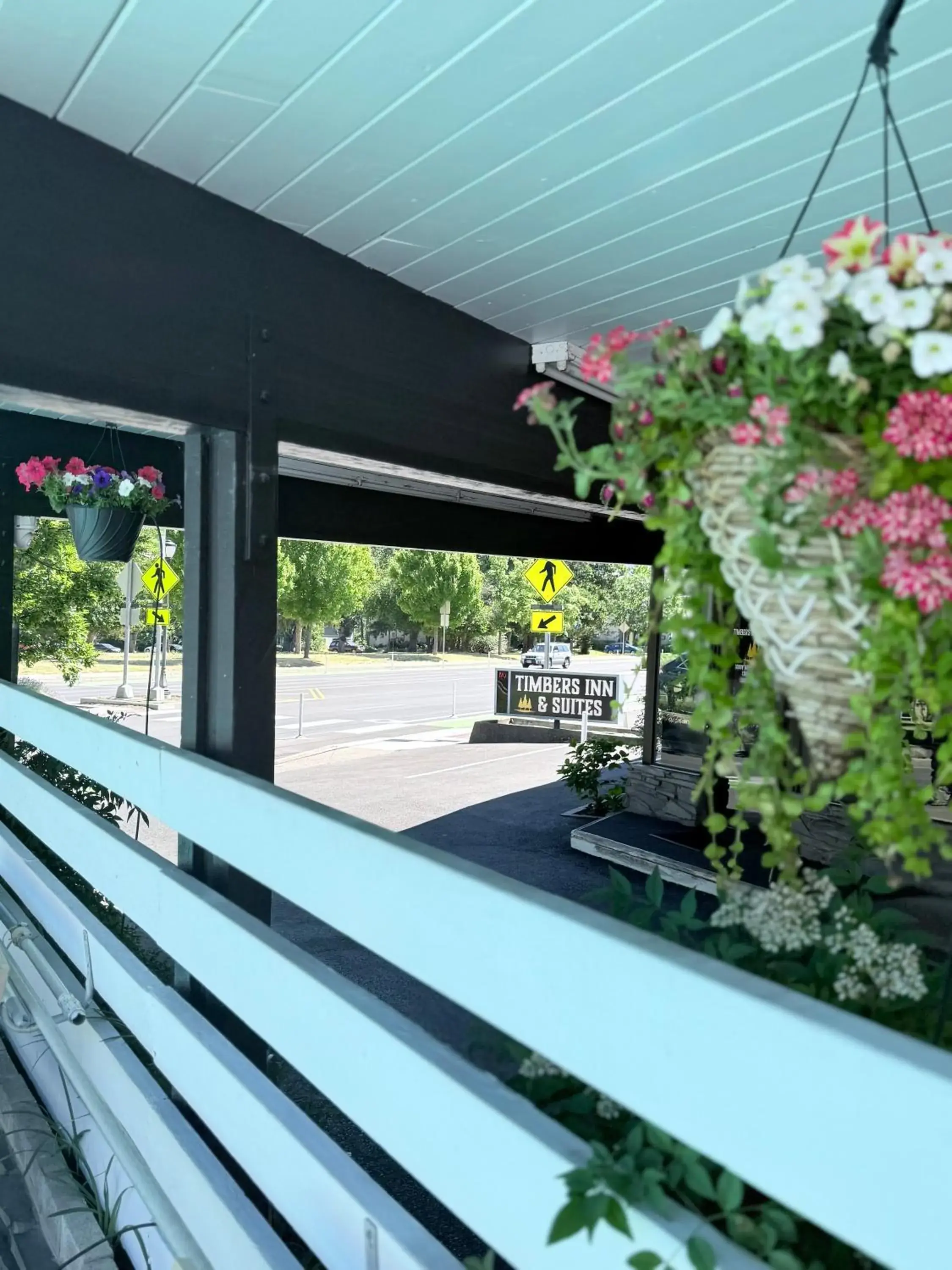 Property logo or sign in Timbers INN and Suites Property logo or sign in Timbers INN and Suites